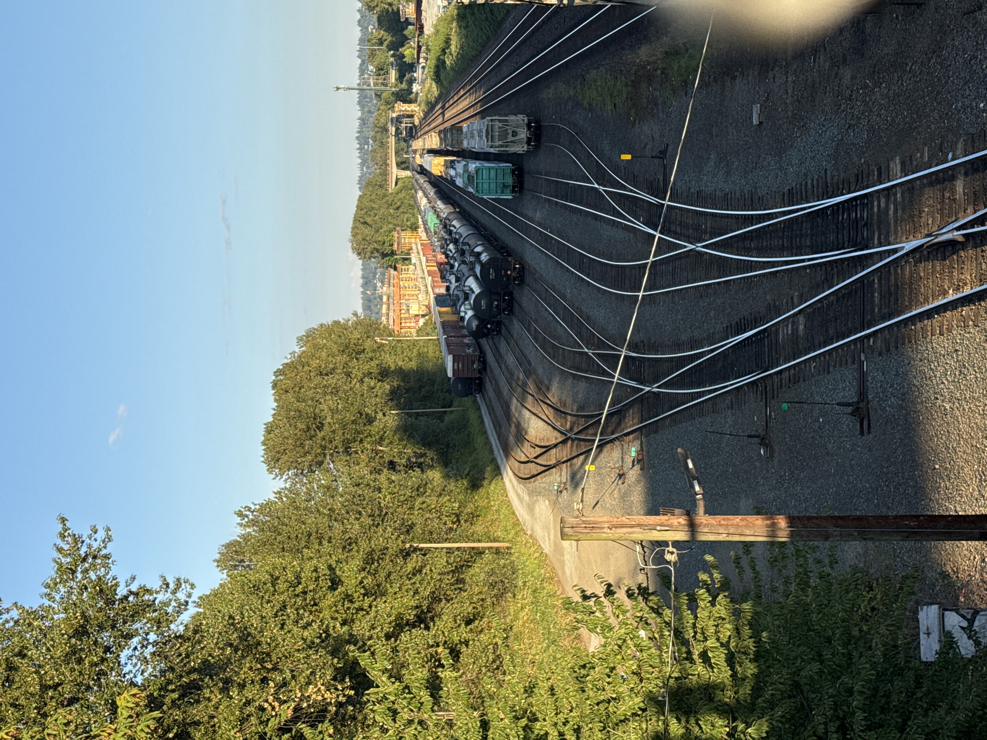 In Burnaby, Canada, this elevated view captures a railway yard under a clear blue sky with sparse clouds. The yard is filled with numerous train cars, including tanker cars and boxcars, arranged on multiple sets of parallel tracks that converge and diverge. Trees line the left side of the image, casting shadows on the tracks and ground. A wooden utility pole with electrical wires and a light fixture stands prominently on the left. In the distance, various industrial buildings and structures, including what appears to be a highway overpass, are visible, blending into a backdrop of more trees and a hazy skyline. The overall scene depicts a functional industrial area during daylight hours.