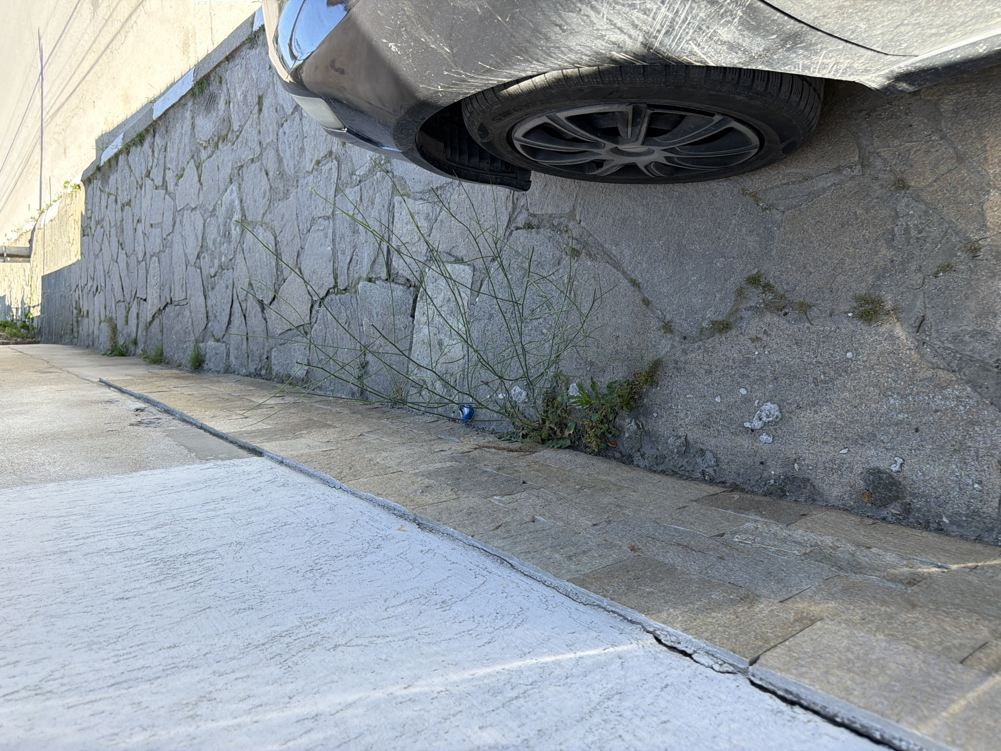 In Zlatitrap, Bulgaria, a dark-colored car is parked on a paved walkway adjacent to a building. The walkway is constructed with irregular, gray flagstones and has cracks and weeds growing through them. A portion of the building's exterior wall, made of light-colored stucco above a band of stone tiles, is visible on the left. A thin, green plant with many branches is growing near the base of the wall, and a small blue cap is lying on the ground near it. The car's tire and a section of its body, which appears dusty and scratched, are in the foreground on the right. The scene depicts an outdoor urban environment under daylight.