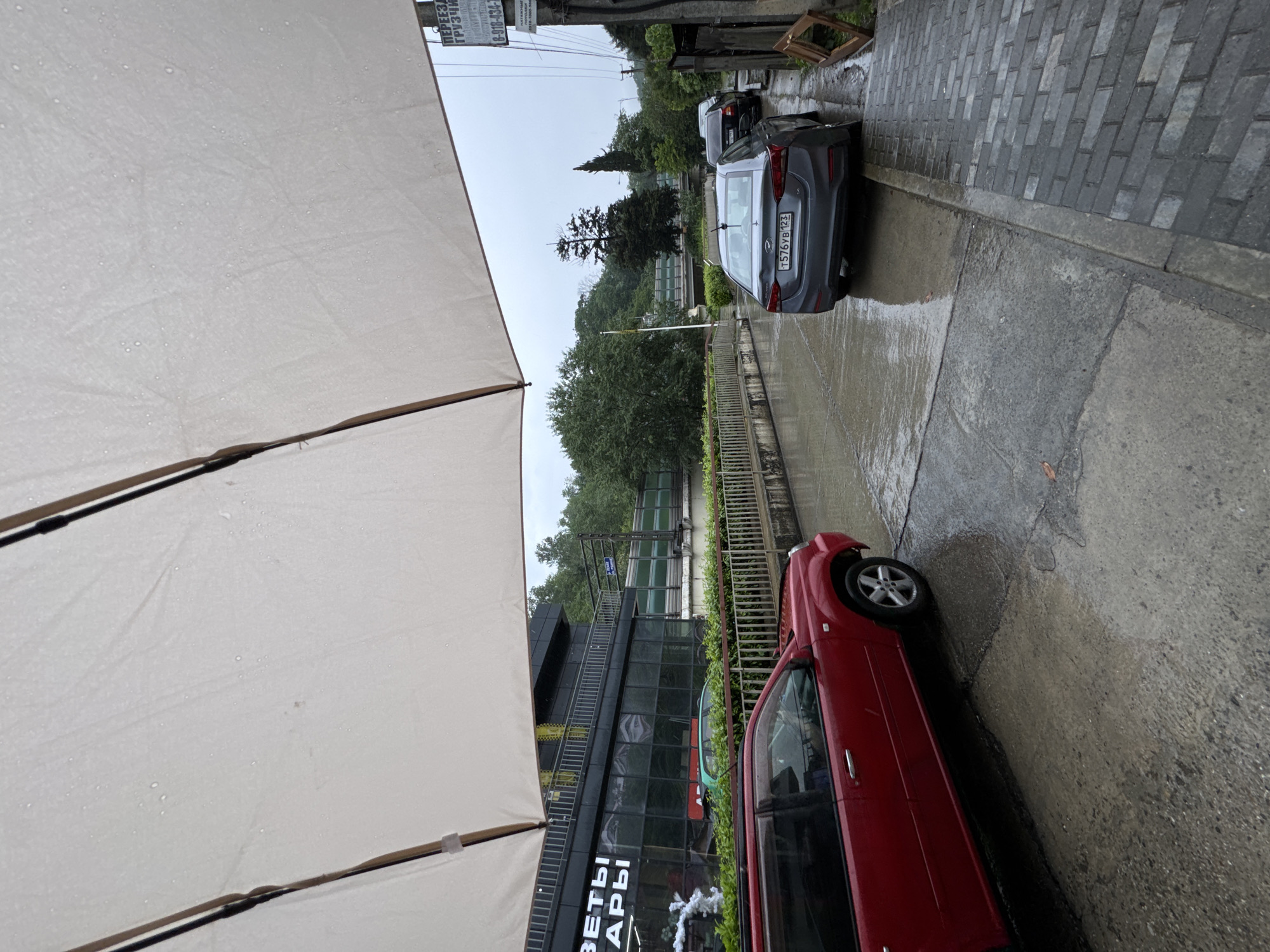 On a rain-slicked street, partially sheltered by a beige umbrella, is a view of Sochi, Russia. A modern, multistory building with a glass facade, featuring the Cyrillic script надпись "ЦВЕТЫ АРЫ", stands next to a red car. The pavement is wet and gray, reflecting the overcast sky. Further down the street, a silver car with the license plate "T576YB123" is parked near a weathered metal barrier. Trees and vegetation line the backdrop, partially obscuring buildings and structures.