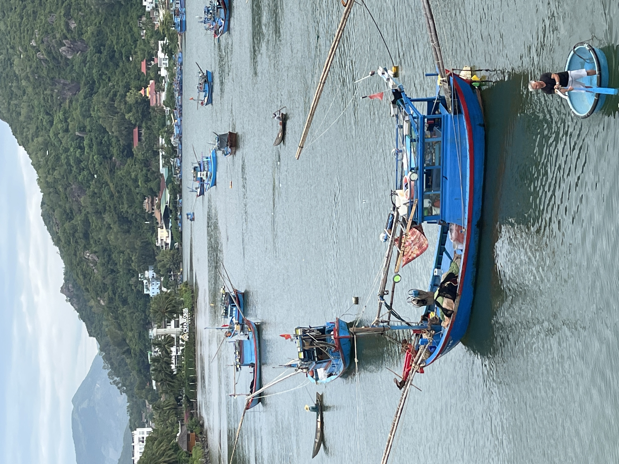 The image depicts a wide shot of the Cai River in Nha Trang, Vietnam, with a mountainous, tree-covered landscape serving as the backdrop. The river is dotted with numerous blue fishing boats of varying sizes, some anchored and others in motion. In the foreground, a man in a black t-shirt and white shorts is rowing a small, round, blue boat with a single oar. Behind him, a larger blue fishing boat, equipped with outriggers and fishing gear, is prominently featured. The riverbanks are lined with buildings, palm trees, and lush vegetation, with a lighthouse visible on the left side of the frame. The sky is overcast, suggesting a cloudy day.