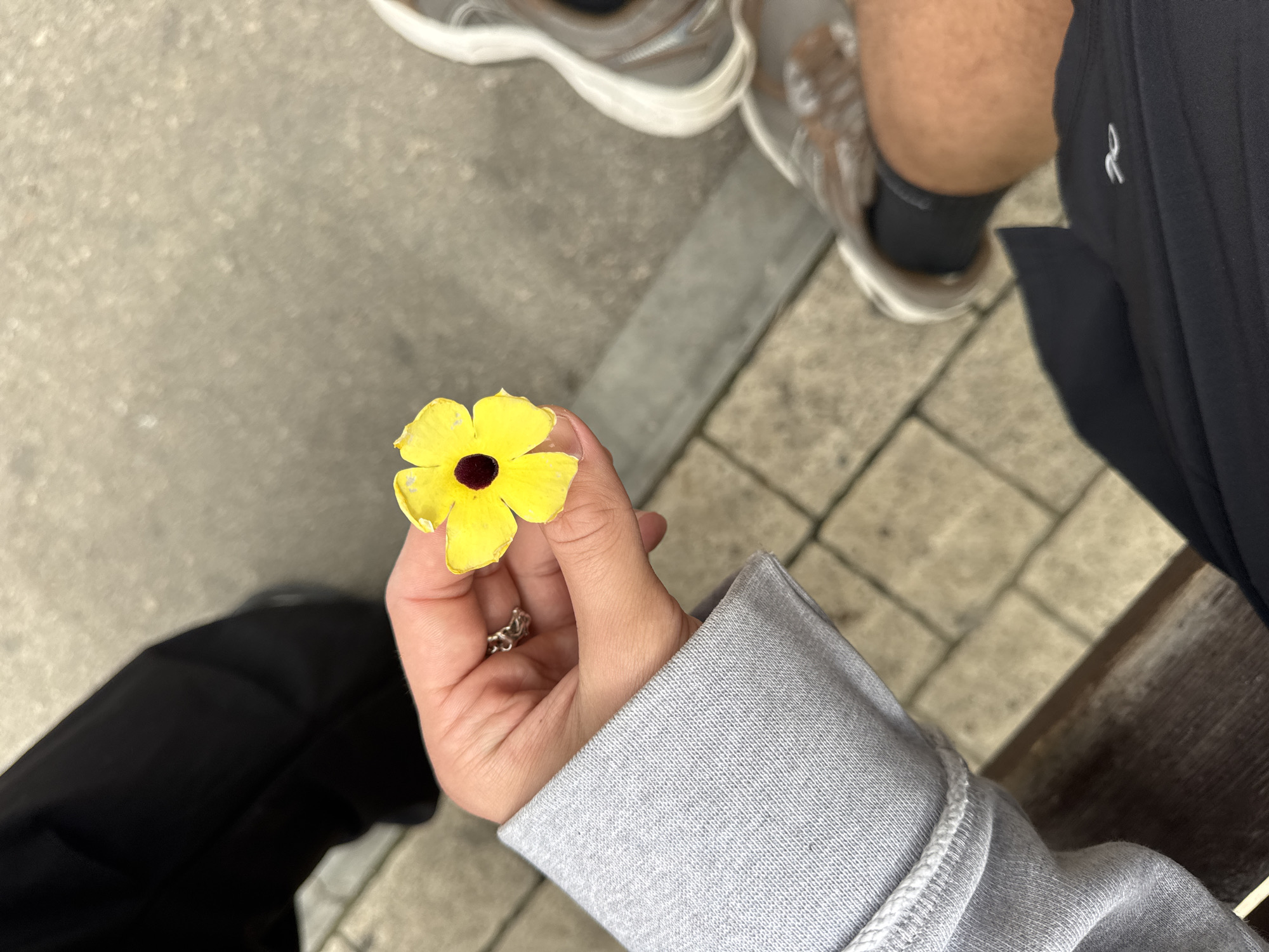 A person is holding a yellow flower with a dark center against a backdrop of urban elements. The person's hand is visible, adorned with a silver ring, and they are wearing a grey sweatshirt. Parts of two other people are in the frame, identifiable by their footwear (running shoes) and clothing (black pants/shorts with a logo). The ground appears to be paved with concrete and a section of brick or tile. While the city cannot be determined from the image, it has been provided separately as Tel-Aviv, Israel.