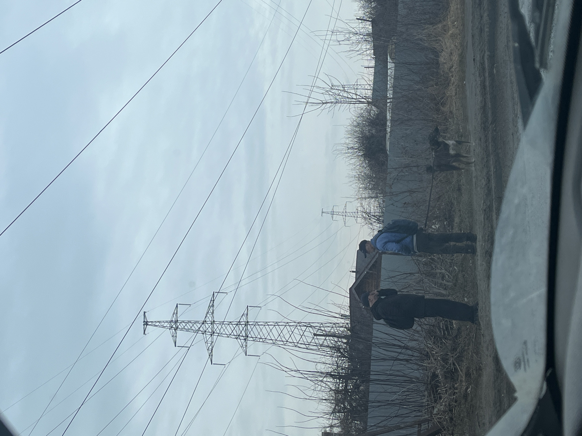 Two people are walking a dog along a roadside in Chaikovsky, Russia. One person is wearing a black jacket and baseball cap; the other person is wearing a blue jacket and carrying a backpack. Overhead power lines are visible. A concrete fence runs along the roadside. The image was taken from inside a vehicle.