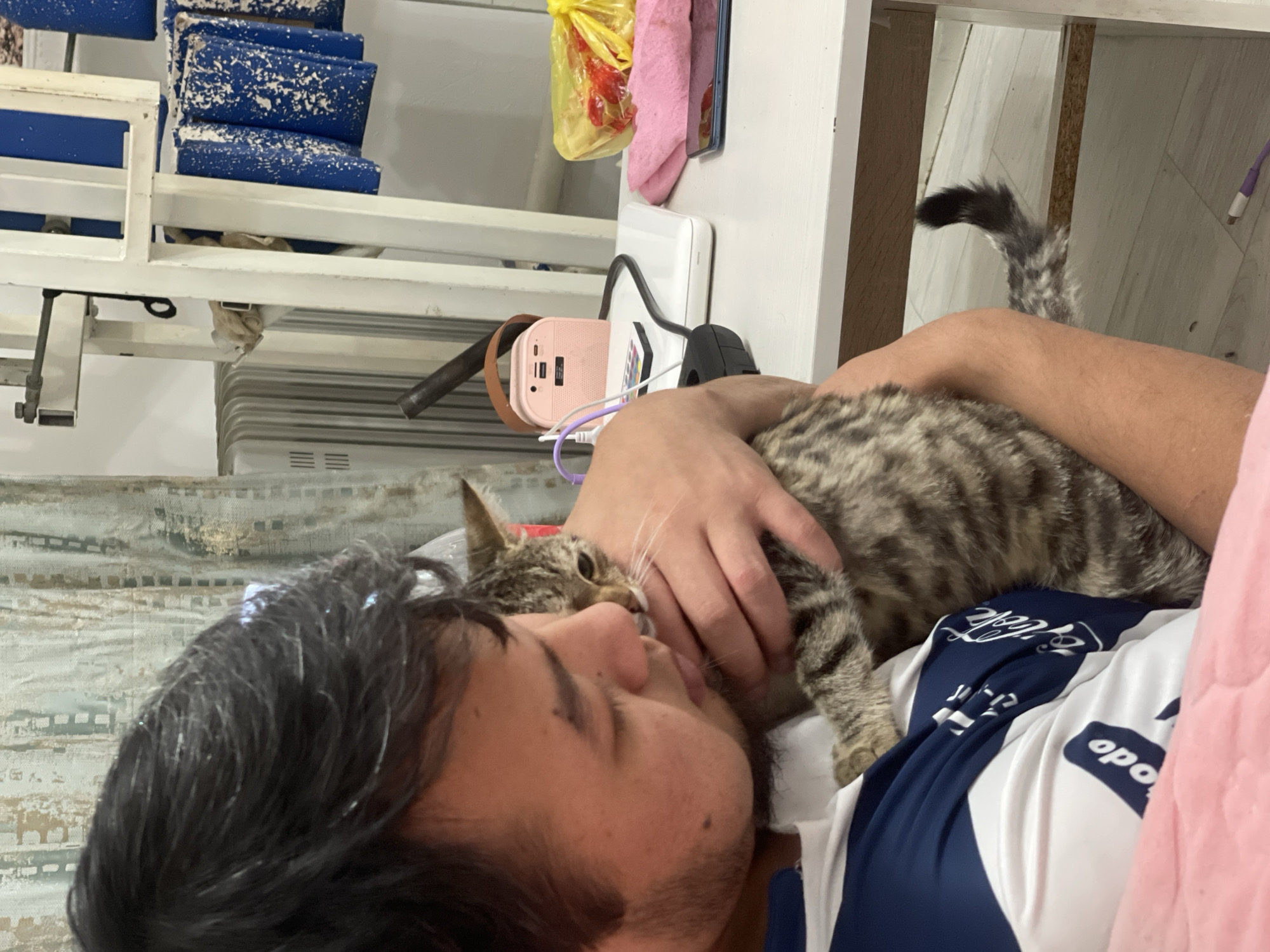 In Bishkek City, Kyrgyzstan, a man is embracing a tabby cat. The man, with dark hair and a beard, wears a white and blue shirt. He is holding the cat close to his face, and the cat appears relaxed, with its eyes partially closed. The scene takes place indoors, with a white table in the background laden with various objects. These include a pink portable charger, a white rectangular device, a remote control, a pink cloth, a smartphone, and a yellow plastic bag containing red items. A radiator is visible in the background, along with a metal rack holding blue items. The overall environment suggests a domestic setting.