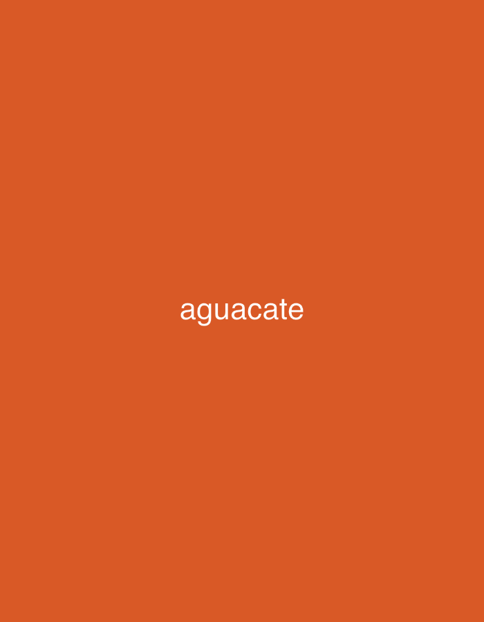 The image features a solid, vibrant orange background. Centered horizontally on this background is the word "aguacate," written in white, sans-serif lowercase letters. There are no other visible subjects, objects, or specific scenes. No activity or event is depicted. The image itself provides no cues regarding the time of day, weather, or specific location details within Santa Ana, Venezuela, beyond the provided context. The presentation is stark and minimalist, focusing solely on the text against the colored field.