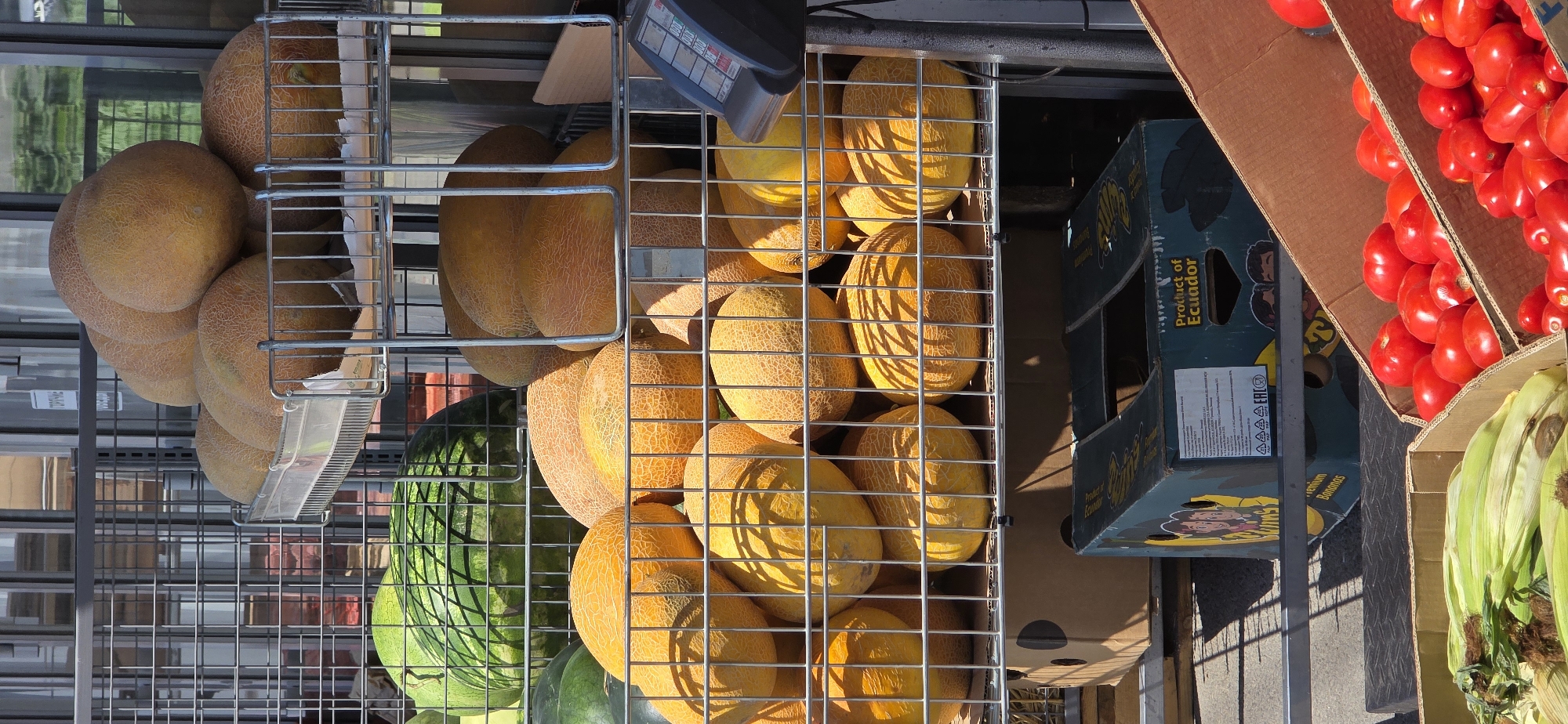 A close-up, eye-level outdoor shot displays a metal tiered rack filled with fruits, primarily melons and a watermelon, in addition to boxes of vegetables. Inozemtsevo, Russia, serves as the backdrop to this market scene.
The top shelf holds several golden-brown melons, stacked together. Below this, a large, dark green watermelon is visible on the left side of the rack. The middle shelves are packed with more golden-brown melons, some showing a textured rind. The lower shelves also contain melons, with some appearing brighter yellow.
Beneath the fruit rack, several cardboard boxes are present. One box in the center, labeled "Product of Ecuador," features graphics of two cartoon figures. To the left of this box, a portion of a cardboard box filled with husked corn on the cob is visible. To the right and in the foreground, a slanted cardboard box is filled with ripe red tomatoes.
The lighting suggests it is daytime, with strong shadows cast across the melons. The background features a vertical structure, possibly a building facade, with reflections visible. The overall impression is one of fresh produce displayed for sale.