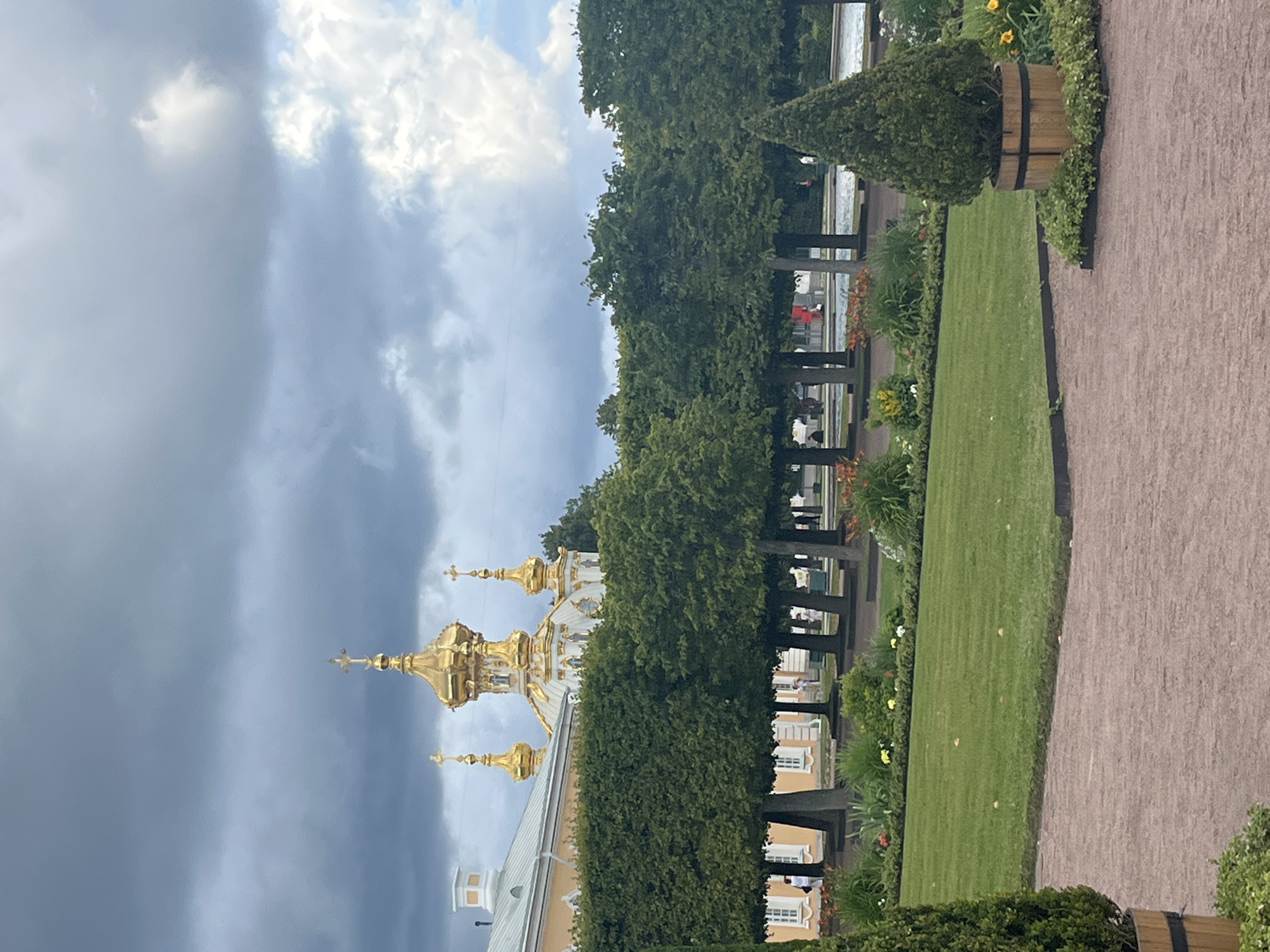 This image captures a view of the Peterhof Palace in Peterhof, Russia, with its distinctive golden domes visible against a cloudy sky. In the foreground, a manicured green lawn is bordered by a flowerbed and a gravel path. A large conical evergreen tree in a wooden planter stands to the right, with a smaller evergreen tree in a planter to the left, partially cropped. Behind the lawn, a formal garden features a row of meticulously trimmed green trees, serving as a backdrop to the palace's architecture. The palace itself, painted in pale yellow with white accents, is partially obscured by the trees. Several golden domes with crosses are prominent features of the palace's design. The sky is filled with a mix of dark and light gray clouds, with some white patches suggesting the presence of sunlight breaking through. A few indistinct figures can be seen walking in the distance near the palace. The overall scene depicts a well-maintained park and architectural landmark under a dramatic sky.