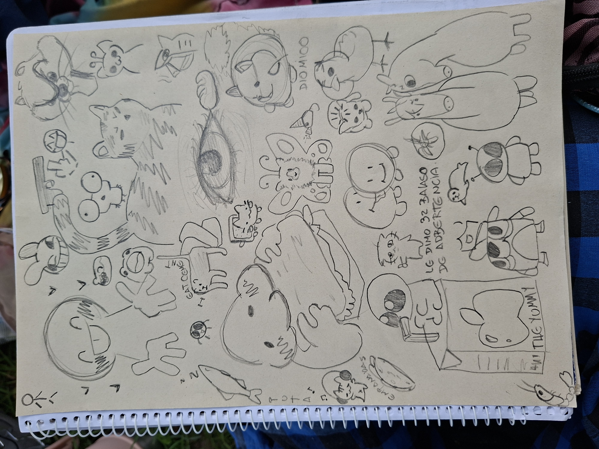 Memory