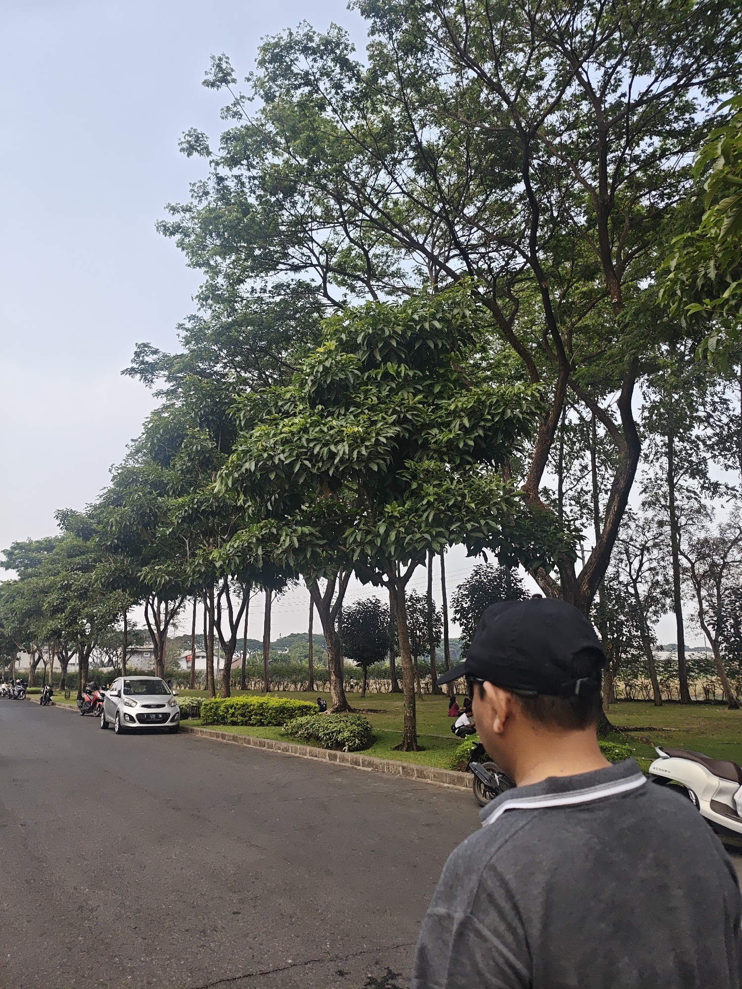 A person wearing a black baseball cap and a grey polo shirt is standing on a paved road, facing away from the camera. The person's back and the back of their head are visible. To the left of the road, a line of trees with dense green foliage forms a border. A silver car is parked on the side of the road, with several motorcycles behind it. In the background, more trees and some buildings are visible. The sky is overcast. The location is identified as Bacin, Indonesia.