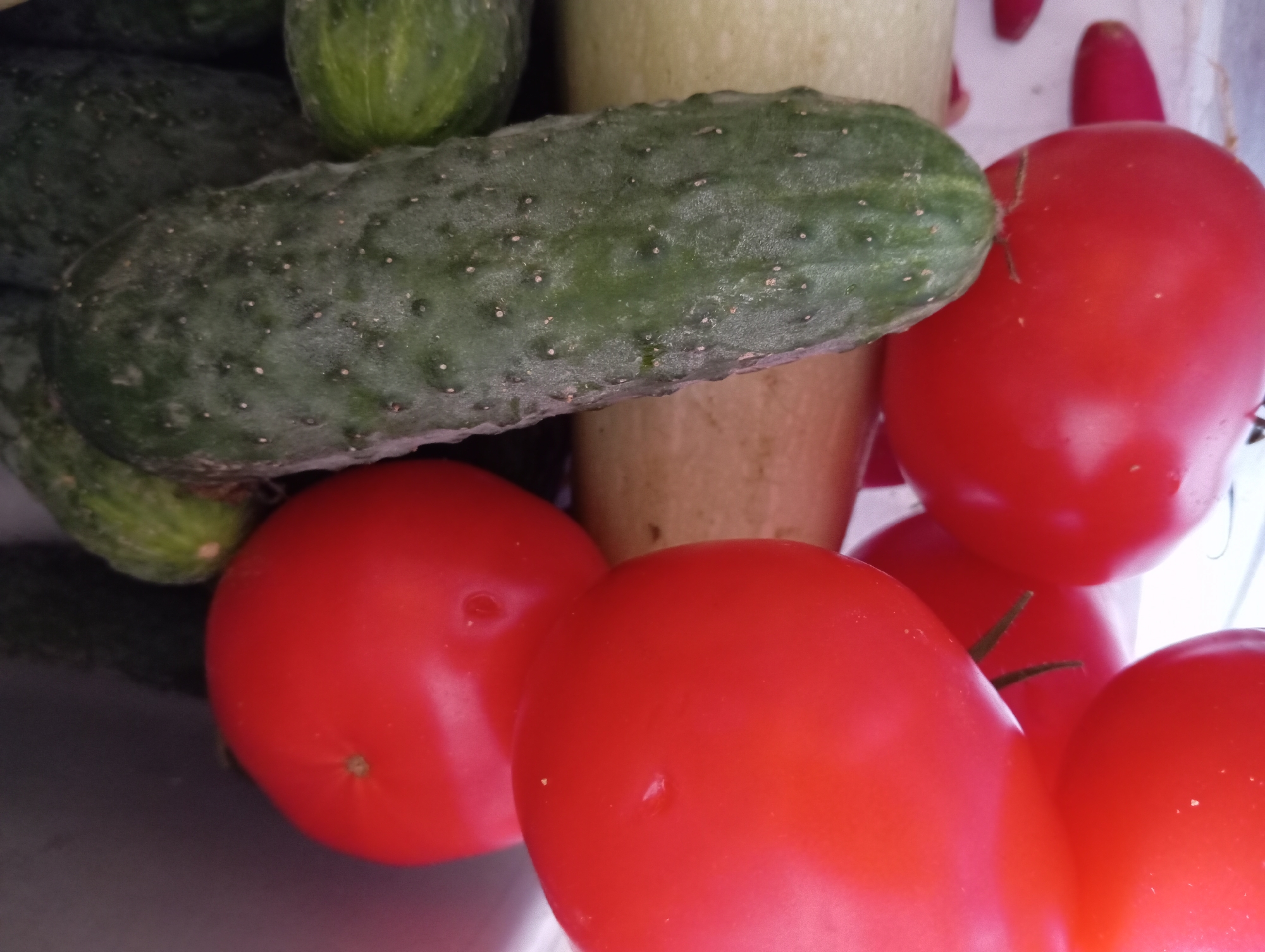 A close-up, overhead shot displays a collection of ripe red tomatoes and green cucumbers, likely intended for consumption. The produce is arranged in a haphazard manner, suggesting they are being stored together. The lighting is soft and diffused, with no harsh shadows or highlights. The background is blurred and indistinct, making it difficult to discern the exact environment, but it appears to be indoors, possibly a kitchen or pantry. The image is devoid of any human presence or activity, focusing solely on the natural beauty of the fresh vegetables. No geographical information is available in the image itself, and therefore its connection to Hlynytsi, Ukraine cannot be confirmed.