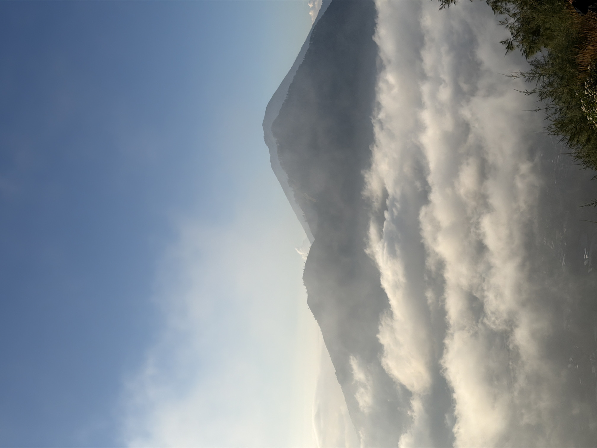 This is a landscape photograph taken in Kintamani, Indonesia, featuring the majestic Mount Batur. The image showcases the towering volcano partially shrouded in a thick blanket of clouds, creating a dramatic and ethereal atmosphere. In the foreground, lush green vegetation, including pine trees and some flowering plants, adds a touch of natural beauty to the scene. The sky above is a clear, vibrant blue, with wispy clouds adding depth and texture. The photograph captures the serene and breathtaking beauty of the Kintamani region, known for its stunning natural landscapes and volcanic terrain.