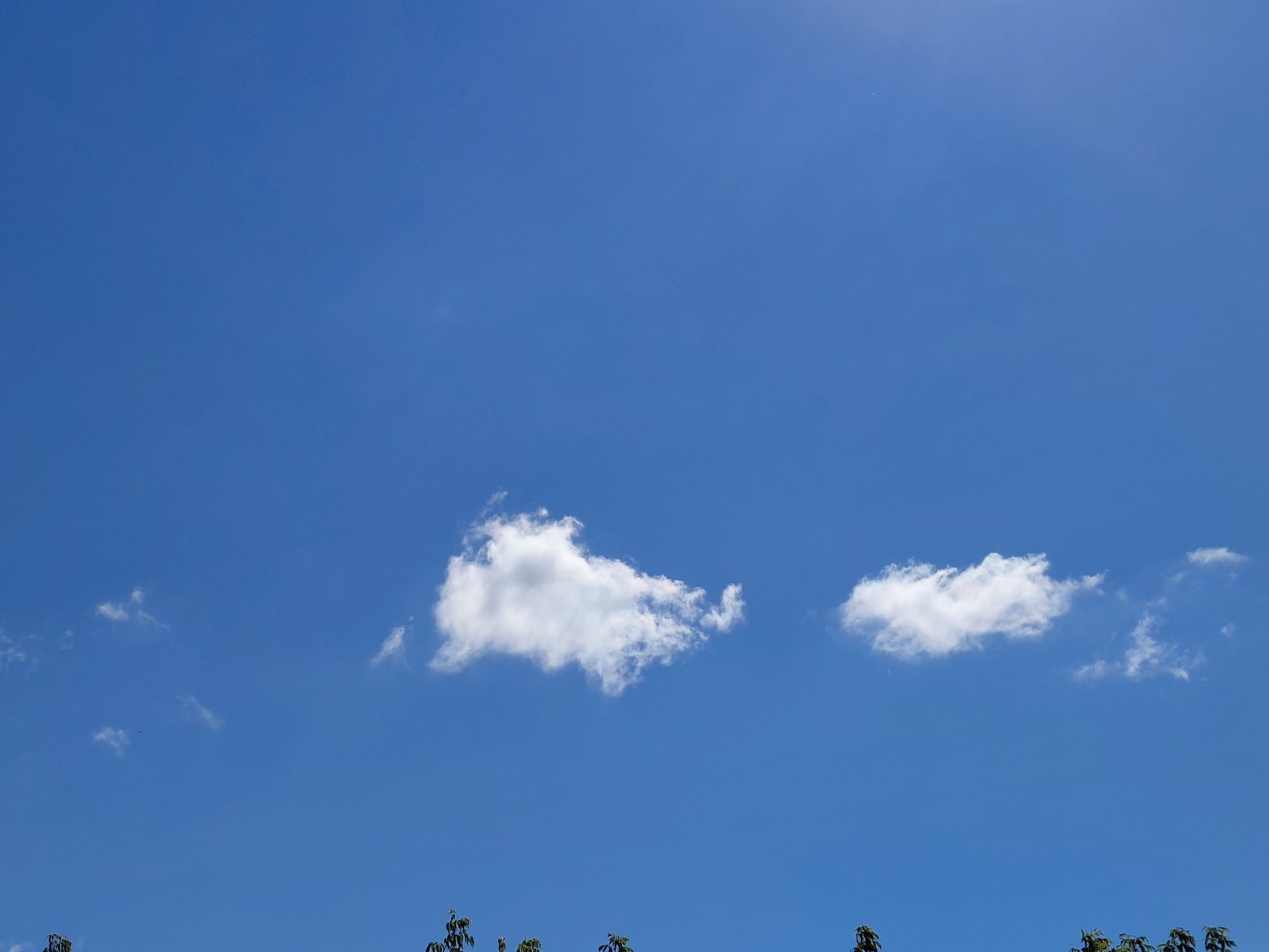 The image depicts a clear blue sky with a few scattered white clouds. The bottom portion of the image shows the tops of trees with green leaves, suggesting an outdoor environment. There are no people or discernible objects of interest in the sky or on the ground. The overall scene is serene and natural. The image does not contain any specific landmarks or visual cues that would allow for the identification of its location in Novokuybyshevsk, Russia.