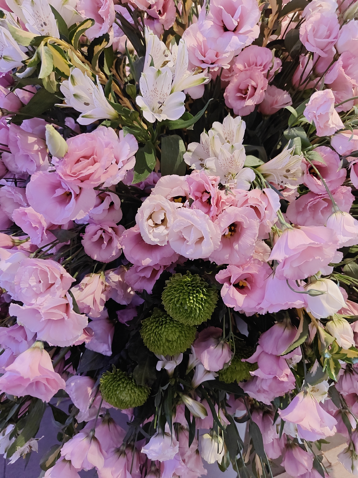 The image is a close-up, overhead shot of a large floral arrangement. The arrangement is dominated by soft pink lisianthus flowers in various stages of bloom, from tightly closed buds to fully opened blooms with visible stamens. Interspersed among the lisianthus are delicate white alstroemeria flowers, characterized by their speckled petals. Adding texture and a contrasting color are several spherical, vibrant green chrysanthemums. Dark green foliage serves as a backdrop, creating a lush and full appearance. The lighting suggests an indoor setting, possibly a professional floral display or decoration. There is no indication of a specific location in Tel-Aviv, Israel, nor are there any people or actions depicted.