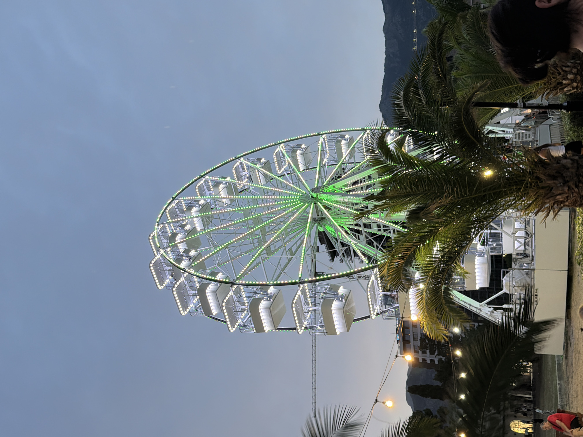 The image captures a Ferris wheel illuminated with green and white lights against a dusky sky, likely in Budva, Montenegro. The Ferris wheel is the prominent subject, with its spokes and circular structure clearly defined by the lights. Several white cabins are attached to the wheel, some of which appear occupied by individuals. In the foreground, palm trees with lush green fronds obscure parts of the view. In the background, a mountainous silhouette looms, with buildings and what appears to be a construction crane visible behind the Ferris wheel. String lights with glowing bulbs are also present, adding to the festive atmosphere. A person in a red shirt is seated in the lower left corner of the frame, facing away from the camera. The overall scene suggests a twilight setting at an amusement park or fairground.