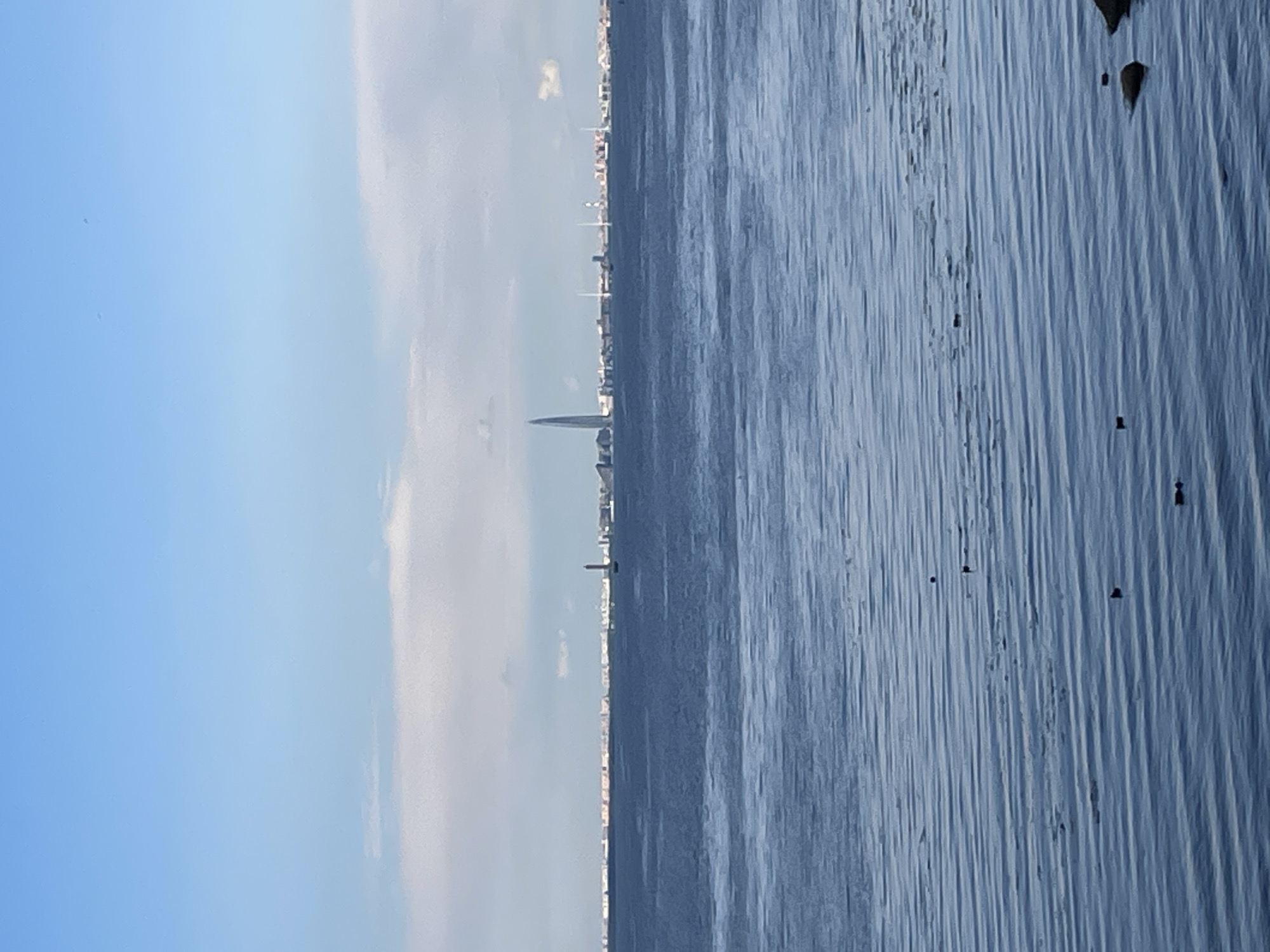 The image depicts a panoramic view of the Gulf of Finland from the coast of Peterhof, Russia. The water in the foreground is a deep blue, with gentle ripples on its surface. Several small, dark objects, possibly ducks or debris, are scattered across the water. In the middle ground, a distant cityscape stretches across the horizon, dominated by a tall, slender, glass-like skyscraper that tapers to a point. Several other buildings and structures, including what appear to be masts or cranes, are also visible along the skyline. A sailboat is positioned in the water to the left of the skyscraper. The sky above is a pale blue, with scattered white clouds. The overall scene is one of tranquil, expansive natural beauty contrasted with a modern urban landscape on the distant shore.