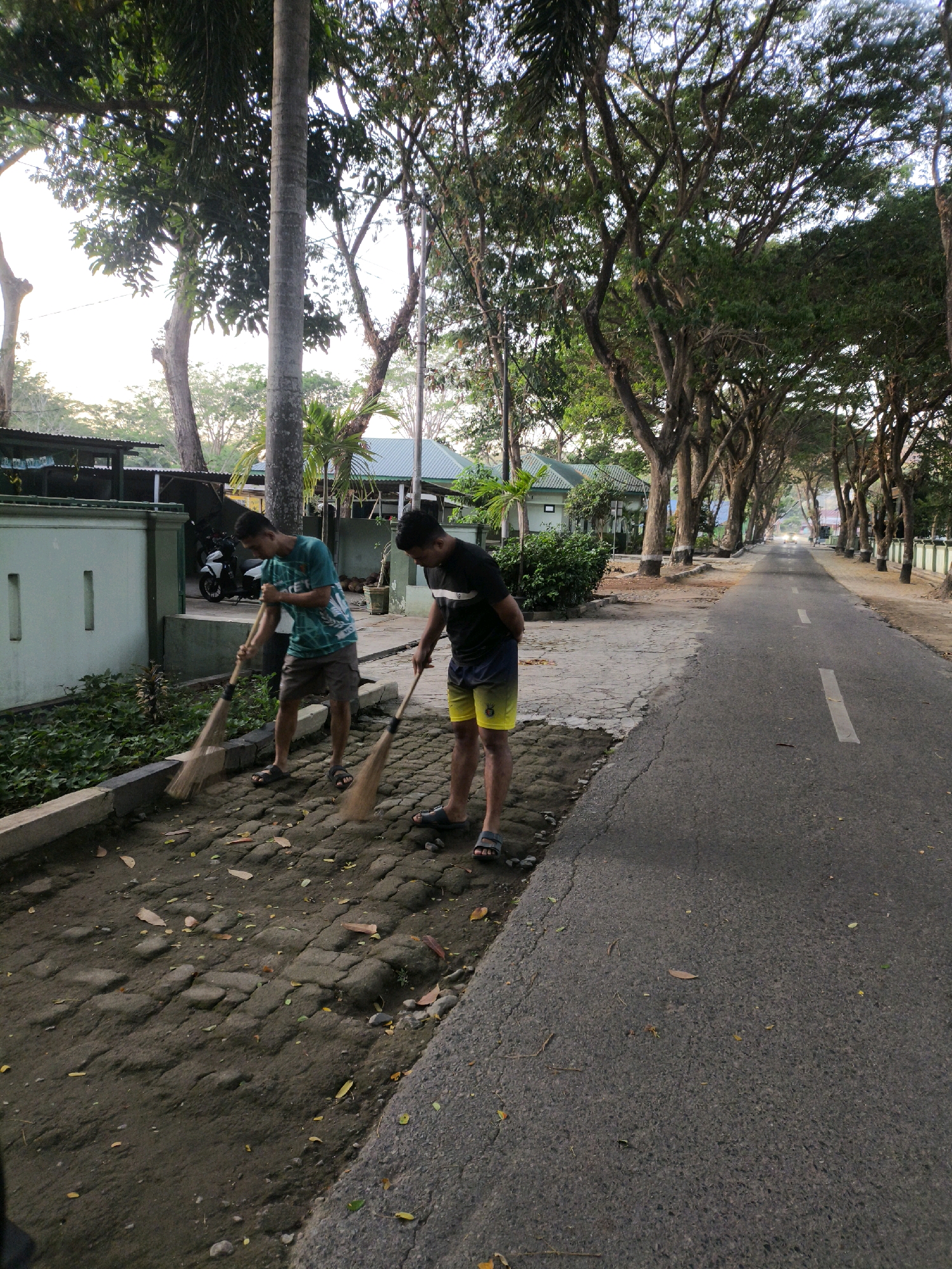Two young males are sweeping a brick pathway next to a paved road lined with trees. The male on the left wears a teal t-shirt and grey shorts, holding a broom and sweeping the bricks. The male on the right wears a black t-shirt and yellow shorts, also holding a broom and sweeping. The pathway is covered in dirt and fallen leaves. In the background, a white motorcycle is parked next to a light green building. The road is asphalt with white lane markers and is lined with mature trees. The scene appears to be in a residential area of Unknown, Indonesia, possibly in the early morning or late afternoon given the lighting.