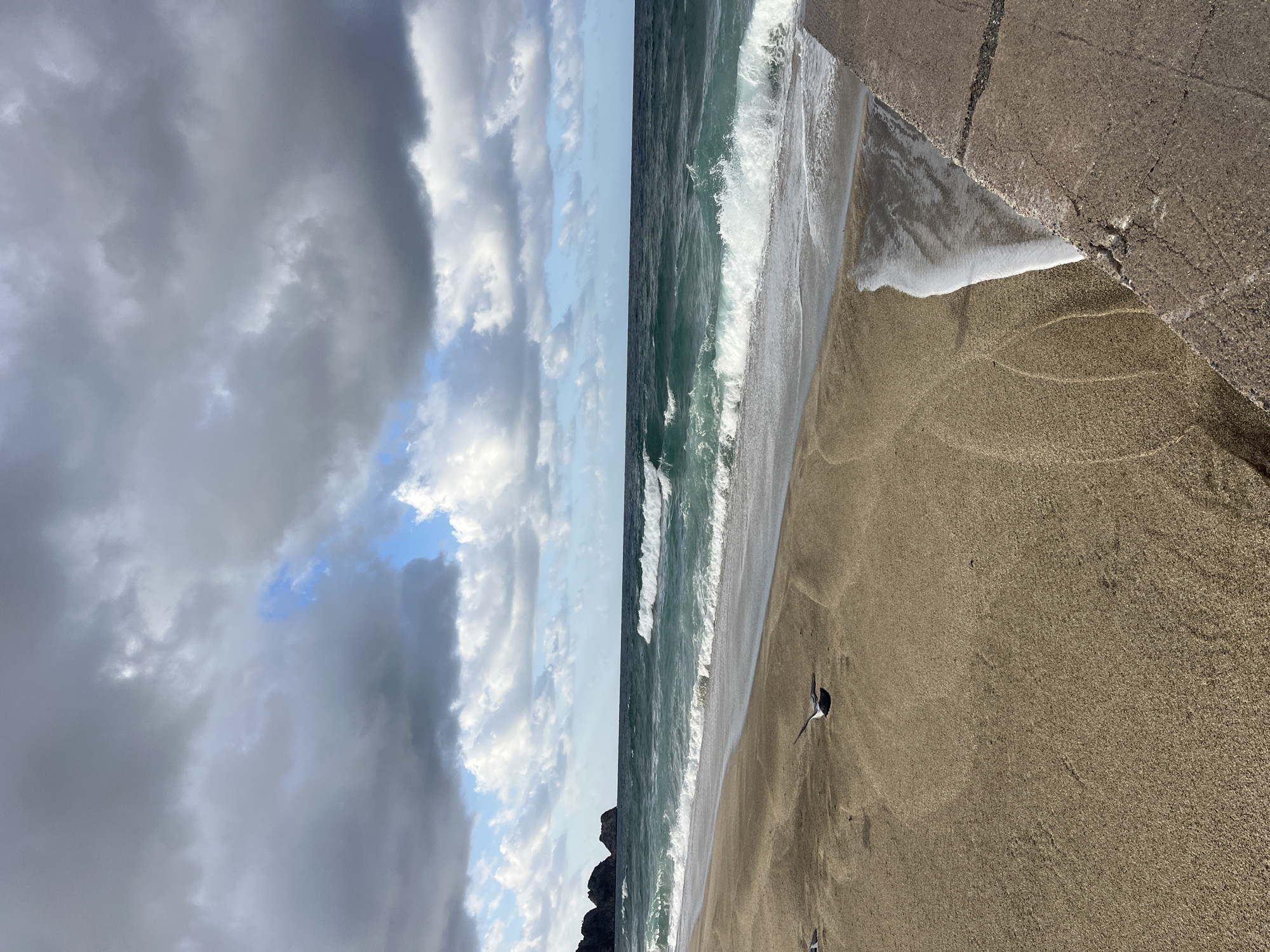 The image shows a beach scene in Alanya, Turkey. The sky on the left is filled with dark, heavy clouds, with patches of blue sky peeking through. The sea is rough with white-capped waves rolling towards the shore. The beach itself is sandy, with wet sand near the water's edge. To the right, there is a concrete structure, possibly a pier or a seawall. There are several seabirds on the sand, appearing motionless.