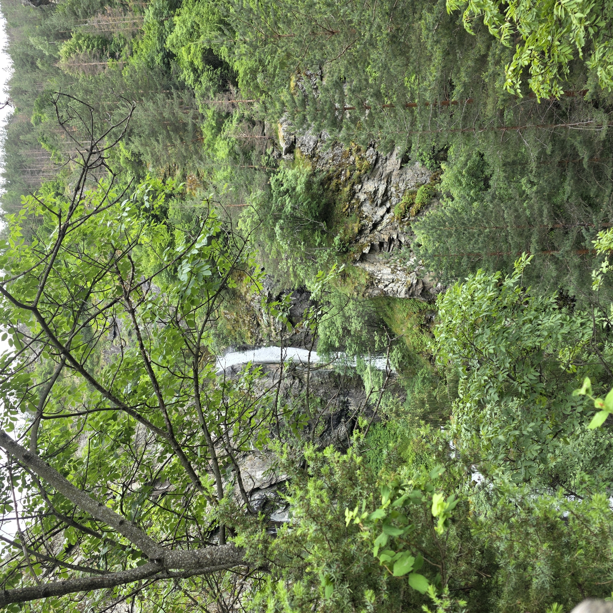 The image shows a waterfall cascading down a rocky cliff face surrounded by lush green vegetation. The foreground features tree branches with green leaves, partially obscuring the view of the waterfall and the surrounding forest. The forest consists of a mix of coniferous and deciduous trees, with a dense canopy creating a shaded environment. Rocky outcrops and moss-covered surfaces are visible on the cliff. The sky is overcast, contributing to a diffused natural light. The scene depicts a natural landscape, likely a natural park or wilderness area. The image captures the waterfall in Ovchartsi, Bulgaria, a well-known natural landmark characterized by its towering waterfall and surrounding mountainous terrain.