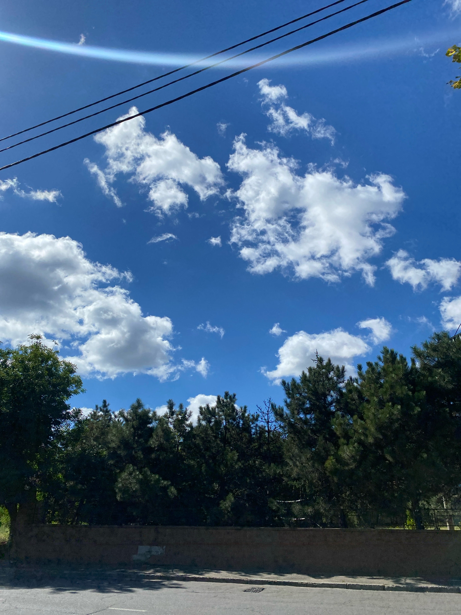 The image shows a bright, sunny day with a clear blue sky filled with fluffy white clouds. Three dark power lines stretch diagonally across the upper portion of the frame. Below the sky is a dense line of dark green coniferous trees, with a lighter green deciduous tree on the far left. A low, rough-textured wall runs horizontally across the lower third of the image, separating the trees from a paved road in the foreground. The road surface is grey and shows some markings. Sunlight casts shadows on the road. The scene appears to be an outdoor, urban or suburban environment, possibly in Chornomorsk, Ukraine. There are no people or animals visible in the image.