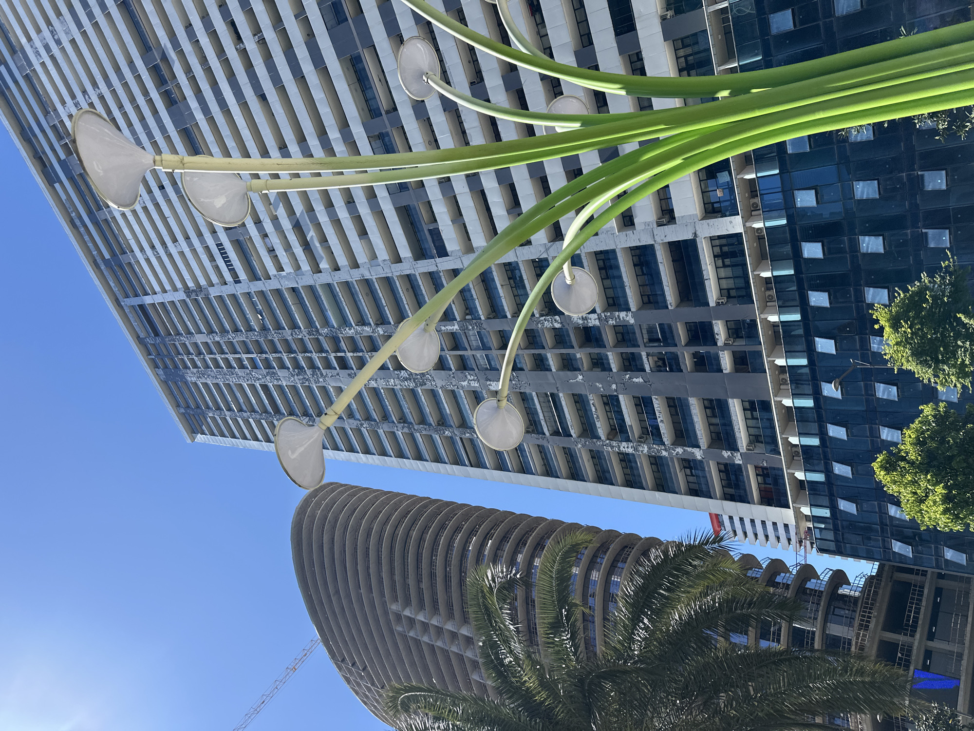 The image captures a view looking upwards at several buildings in Batumi, Georgia, under a clear blue sky. The foreground includes parts of a green, sculpture resembling elongated flower stems with circular, opaque lights at their ends. Adjacent to the sculpture, a palm tree's fronds frame the bottom of the scene.
Behind the sculpture and palm tree, there are three distinctive high-rise buildings. One on the left has a grid-like exterior with alternating light and dark horizontal lines. To the right of this, another tall building with reflective windows is visible. A third curved, building is present, under construction with visible cranes in the background.