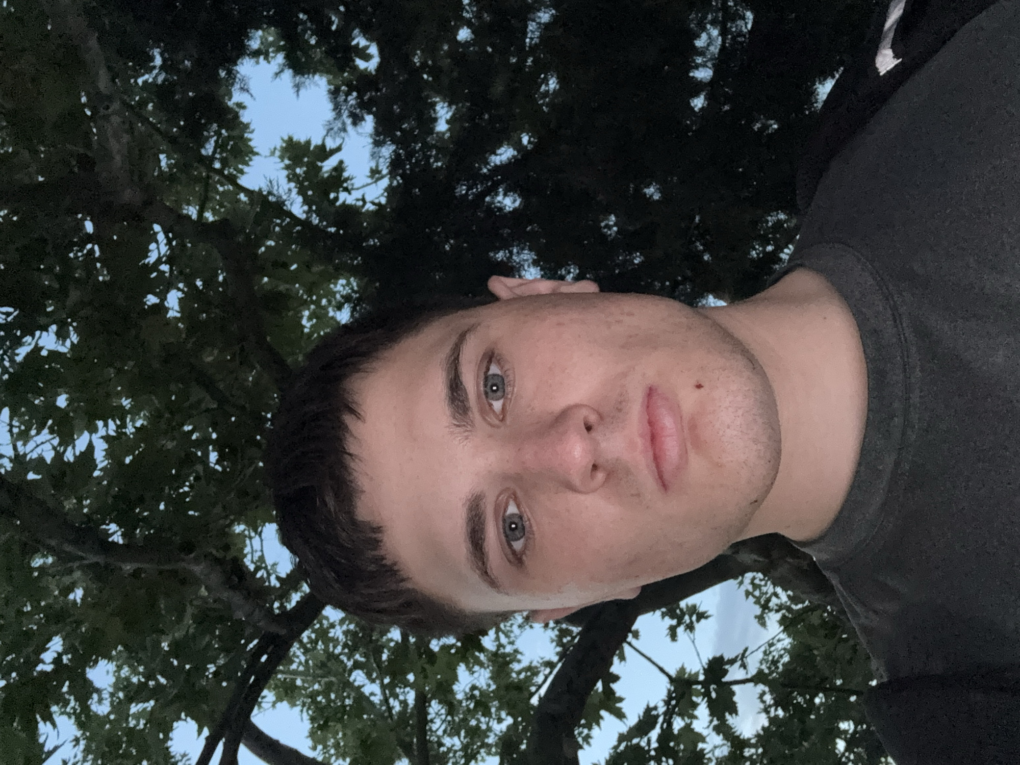 A medium shot portrait of a young white male is captured outdoors at dusk. He is facing the camera directly, with a neutral expression. The man has short, dark brown hair, blue eyes, and fair skin with some blemishes. He is wearing a dark gray t-shirt and appears to be outdoors with a large tree with dark green foliage framing the upper part of the image. The sky is visible through the leaves, suggesting it is twilight. The setting does not provide specific visual cues to identify a location within Stara Zagora, Bulgaria.