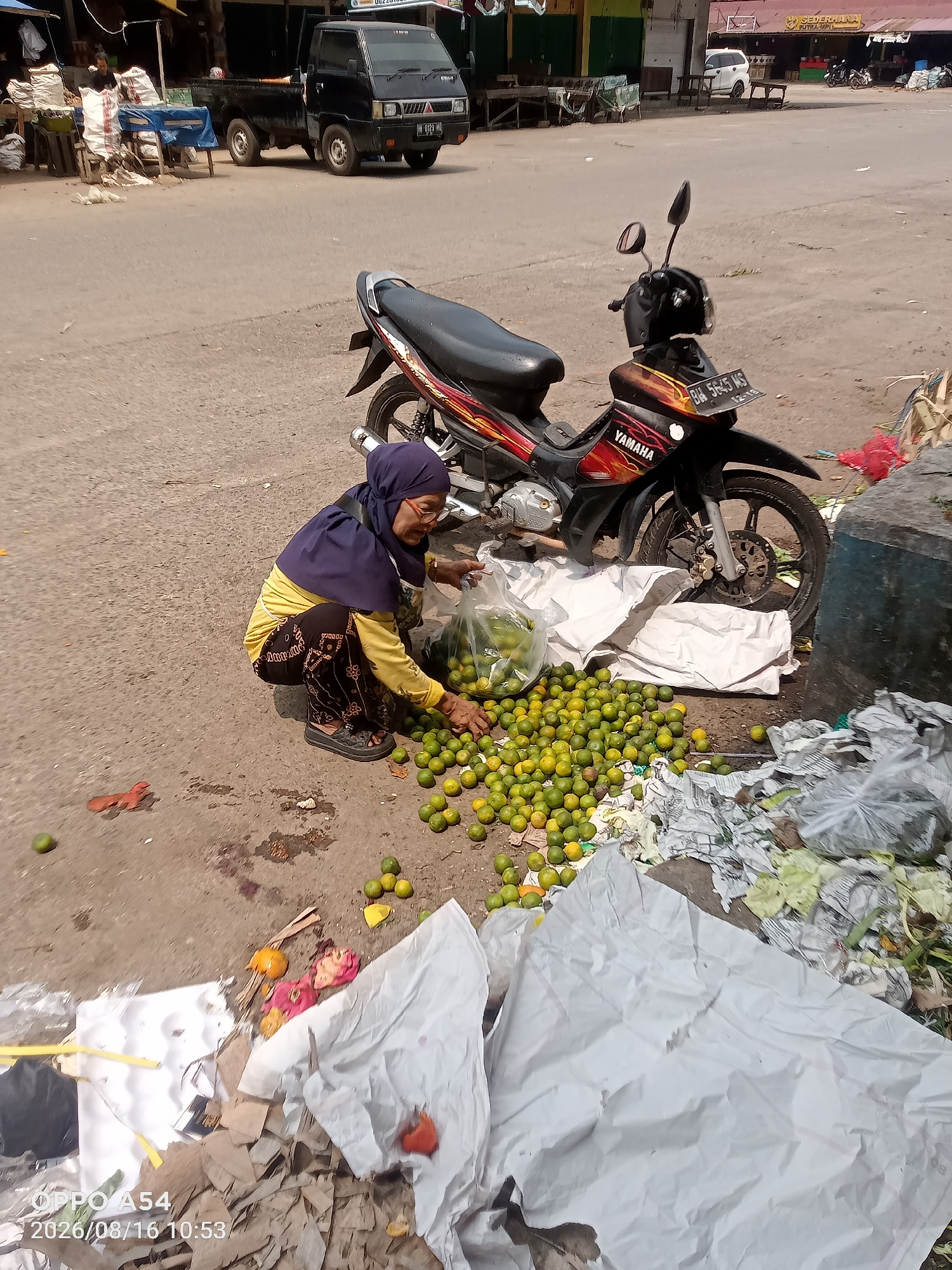 A woman wearing a purple hijab and yellow shirt is crouching on a paved surface, surrounded by a large pile of small, green citrus fruits. She is holding a plastic bag and appears to be sorting or collecting the fruits. A motorcycle is parked behind her. In the background, a black pickup truck is visible, along with market stalls and buildings. The scene suggests a street market environment in Jambi, Indonesia, likely a fruit vendor's stall. The ground is littered with some debris, including crumpled paper and other discarded items. The timestamp on the image indicates it was taken on August 16, 2026, at 10:53 AM.