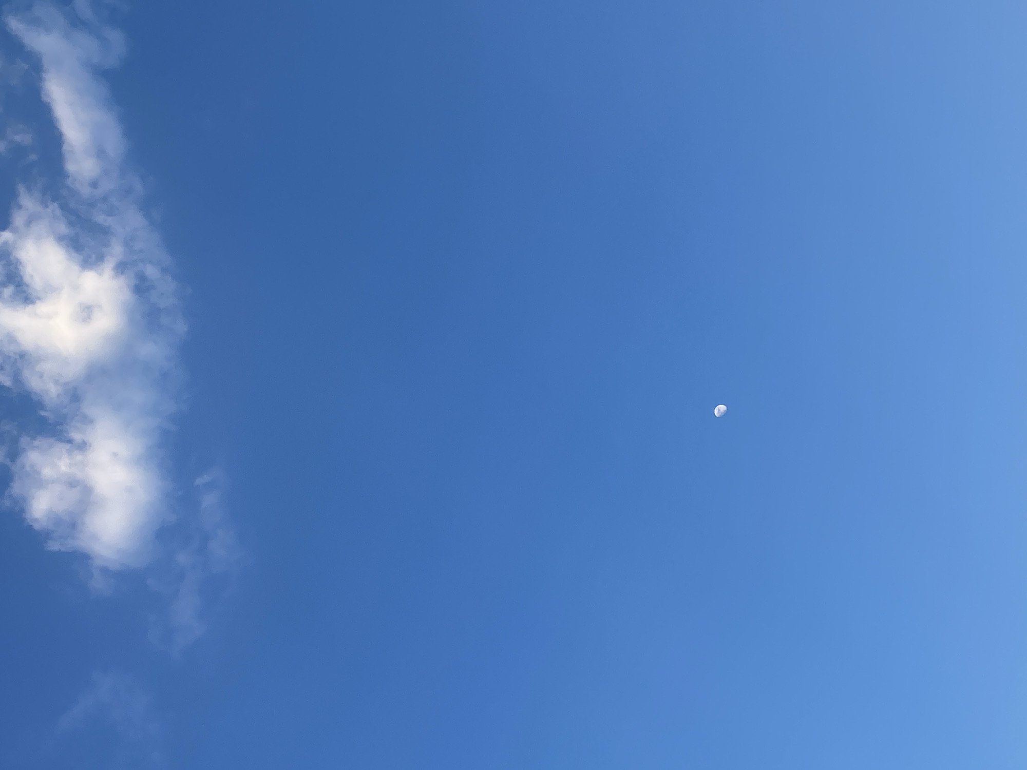 The image shows a clear blue sky with a small crescent moon visible in the upper right quadrant and a cluster of white clouds in the upper left.