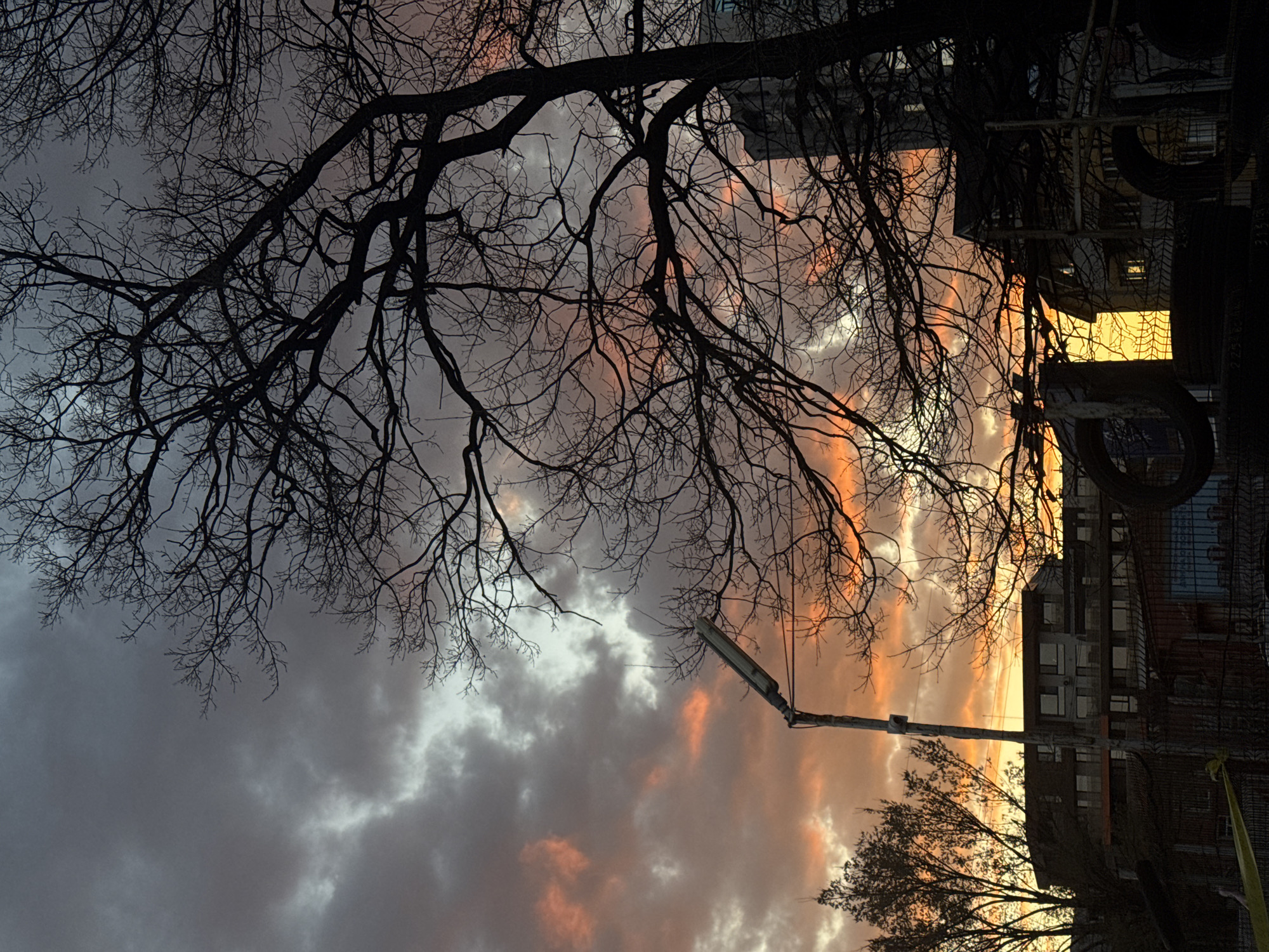 The image shows a low-angle view of a street scene in Sofia, Bulgaria at sunset or sunrise. A bare tree dominates the upper portion of the frame, its branches silhouetted against a cloudy sky with orange and pink hues. A street lamp is visible mid-frame. Buildings, including an apartment block with visible windows and a fire escape, are partially visible on the right side of the frame. Tires are suspended near the fire escape, and some yellow caution tape. The photo is oriented on its side, with the sky mostly on the left side of the image.