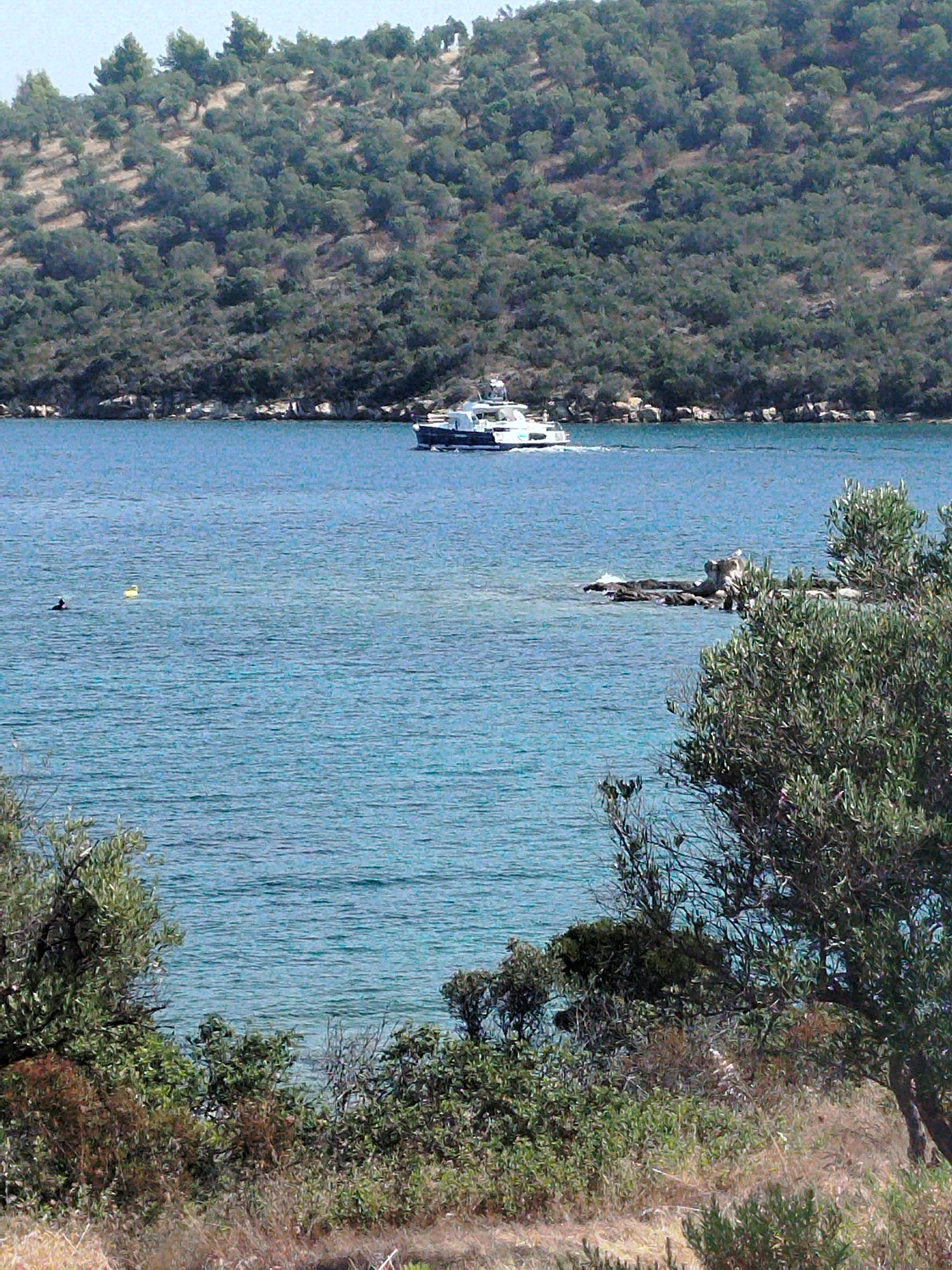 The image depicts a calm, blue sea with a boat sailing in the distance. The boat is white and appears to be a leisure craft. On the left side of the frame, a person is visible in the water, seemingly swimming or engaging in a water sport, accompanied by a yellow buoy. Rocky outcrops are present near the surface of the water on the right side of the image. The background features a lush, green hillside covered in trees, characteristic of the Mediterranean landscape. In the foreground, dense vegetation and dry grasses are visible, suggesting a natural, undeveloped coastal area. The lighting indicates a sunny day. This scene is consistent with the coastal environment of Sithonia Municipal Unit, Greece, known for its clear waters and scenic hillsides.