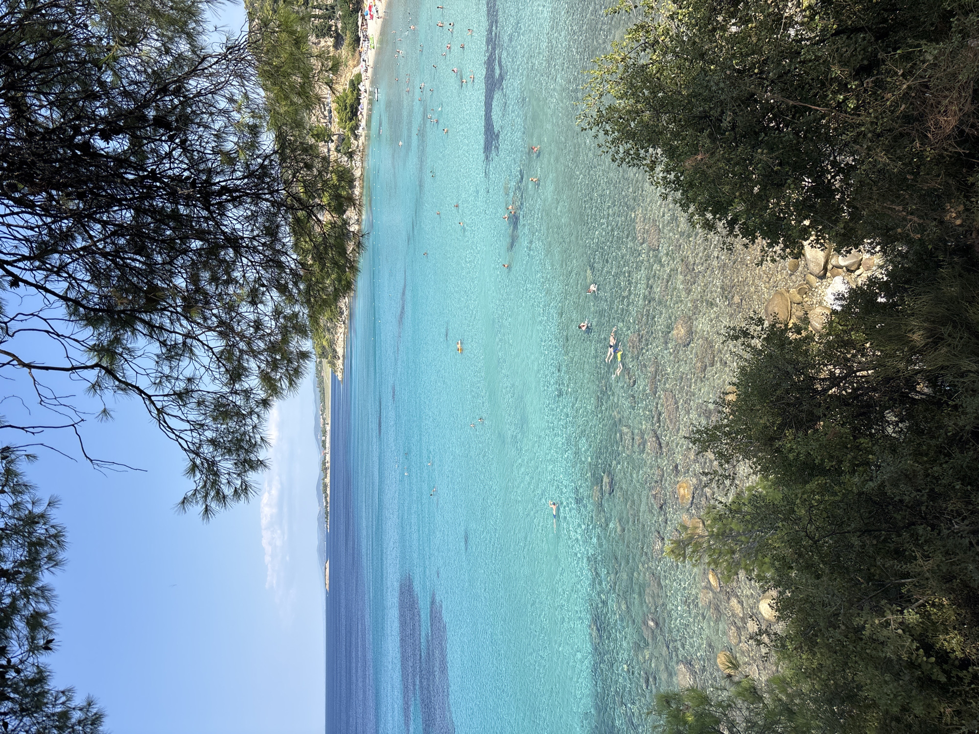 This is a high-angle, wide shot of a crowded beach and clear turquoise waters, as viewed from a wooded hillside. The foreground is dominated by dark green foliage, with pine needles and branches framing the top of the image. The middle ground is the crystal-clear water, revealing the rocky seabed below. Several people are swimming and floating in the water, some with snorkeling gear. In the distance, a sandy beach is visible, lined with numerous umbrellas and sunbathers. The background shows a coastline with rolling hills and a few buildings. The sky is a bright, cloudless blue. This scene is likely a popular tourist destination on the coast of Sithonia Municipal Unit, Greece, known for its pristine beaches and clear waters.