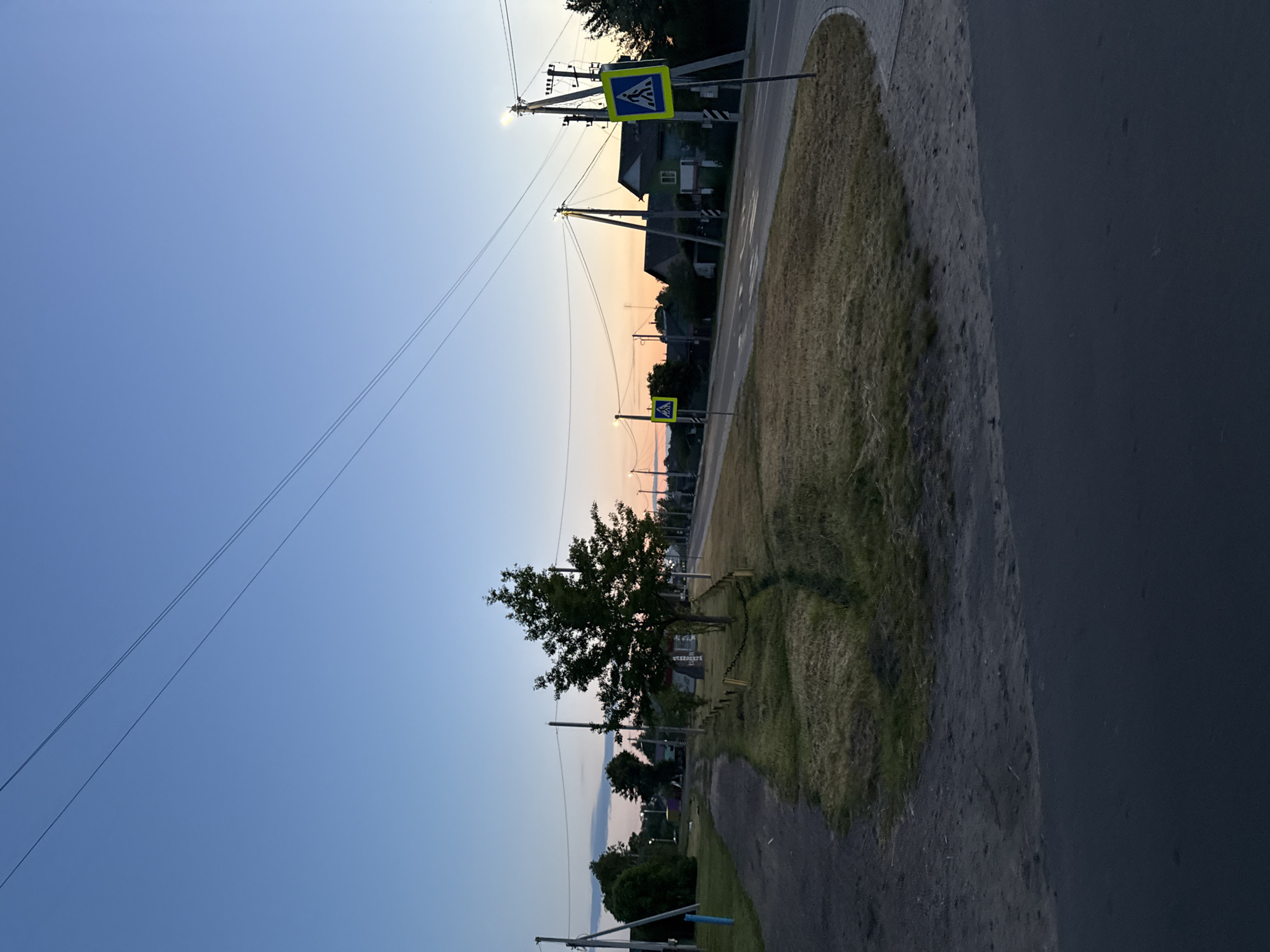 The image captures a tranquil rural or suburban street scene at dusk or early evening. The sky, dominating the upper portion of the frame, transitions from a clear, deep blue overhead to soft hues of pink and orange at the horizon, indicative of a recent sunset. Several thin power lines stretch across the sky, connecting various utility poles visible along the roadside.
In the foreground, a dark asphalt road occupies the right side, bordered by a grassy median or shoulder on the left. This grassy area contains patches of dry, lighter-colored grass and scattered darker green foliage. A single, distinct tree with a full canopy of dark green leaves stands prominently in the grassy section of the mid-ground.
Along the road, several wooden utility poles support power lines. Two blue square road signs, each featuring a white triangle with a black pedestrian symbol (pedestrian crossing signs), are visible. One sign is closer to the viewer, while the other is further down the road, closer to the horizon line. In the distance, silhouetted buildings or houses can be discerned amidst the trees and infrastructure, suggesting a small settlement.
The scene is devoid of people or vehicles, conveying a sense of calm and quiet. The lighting is soft and subdued, characteristic of twilight. The only visible "text" consists of the universally recognized pedestrian symbols on the road signs. The location context provided is Лабжанскі сельскі Савет, Belarus.