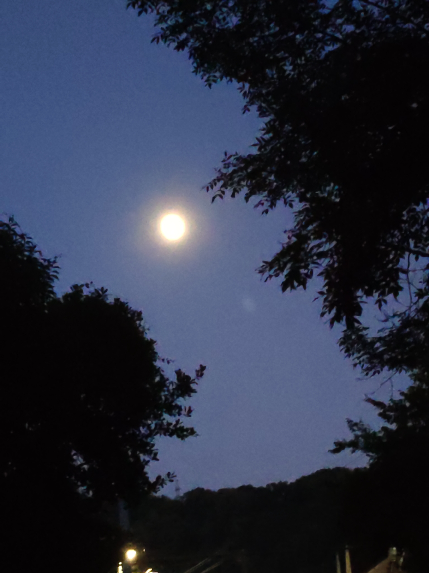 The image shows a full moon shining brightly in a twilight sky, with dark silhouettes of trees framing the scene from the top and sides. The moon is the most prominent subject, appearing as a luminous orb with a soft glow. The sky is a deep, dusky blue, indicating that it is either early evening or late night.
The trees are dense and leafy, their branches and foliage creating intricate patterns against the sky. Their dark, shadowy forms suggest they are in shadow, illuminated only by the moon. In the lower part of the image, the silhouettes of more trees and possibly some hills or a mountainside are visible, forming a dark, undulating horizon. There are also hints of artificial lights at the very bottom of the frame, suggesting the presence of human activity or structures nearby, possibly a streetlamp or lights from a building.
The overall mood is serene and peaceful, evoking a sense of quietude often associated with nighttime. The natural beauty of the moonlit sky and the surrounding nature is emphasized by the stark contrast between light and shadow. There is no visible text in the image. The location context of Sochi, Russia, might suggest a natural landscape, perhaps a park or a rural area, under the night sky.