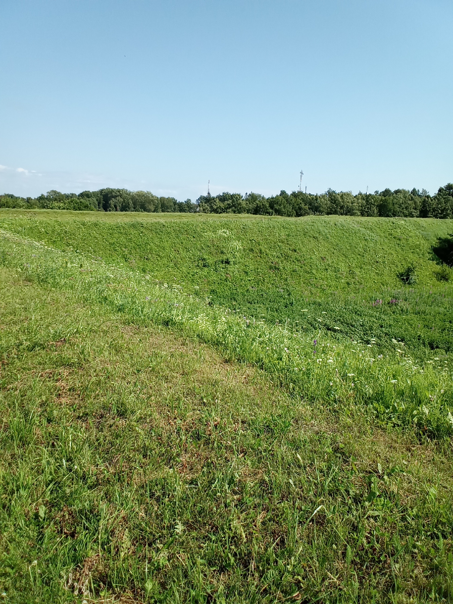 The image shows a grassy embankment on a clear, sunny day. The embankment is covered in lush green grass, with some patches of wildflowers, including white and purple blooms, scattered throughout. The top of the embankment is lined with a dense forest of green trees. In the far distance, against the clear blue sky, a few tall, slender structures resembling communication towers are visible. The foreground features a close-up view of the grass, revealing varying shades of green and some dry, brown blades mixed in. The scene appears to be located in a natural, open area, potentially a park or a rural landscape.