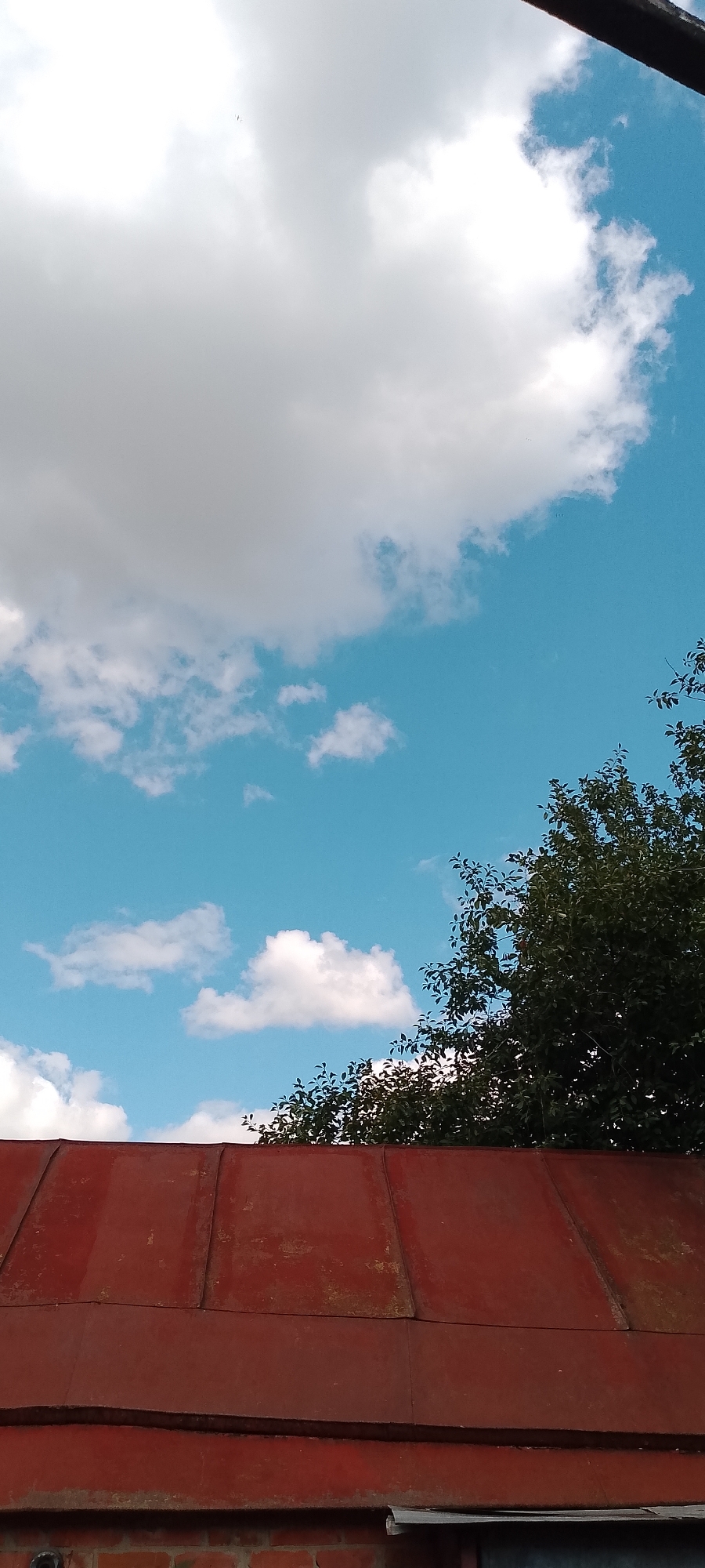 The image is a vertical, eye-level shot of a red, corrugated metal roof in Belgorod, Russia. Above the roof, the sky is a clear blue with scattered white cumulus clouds. On the right side of the image, the dark green foliage of a tree extends into the frame from the top edge. The roof appears to be made of overlapping metal sheets, showing signs of age and weathering, with patches of rust and discoloration. The scene is outdoors on a bright day. There are no people visible in the image.