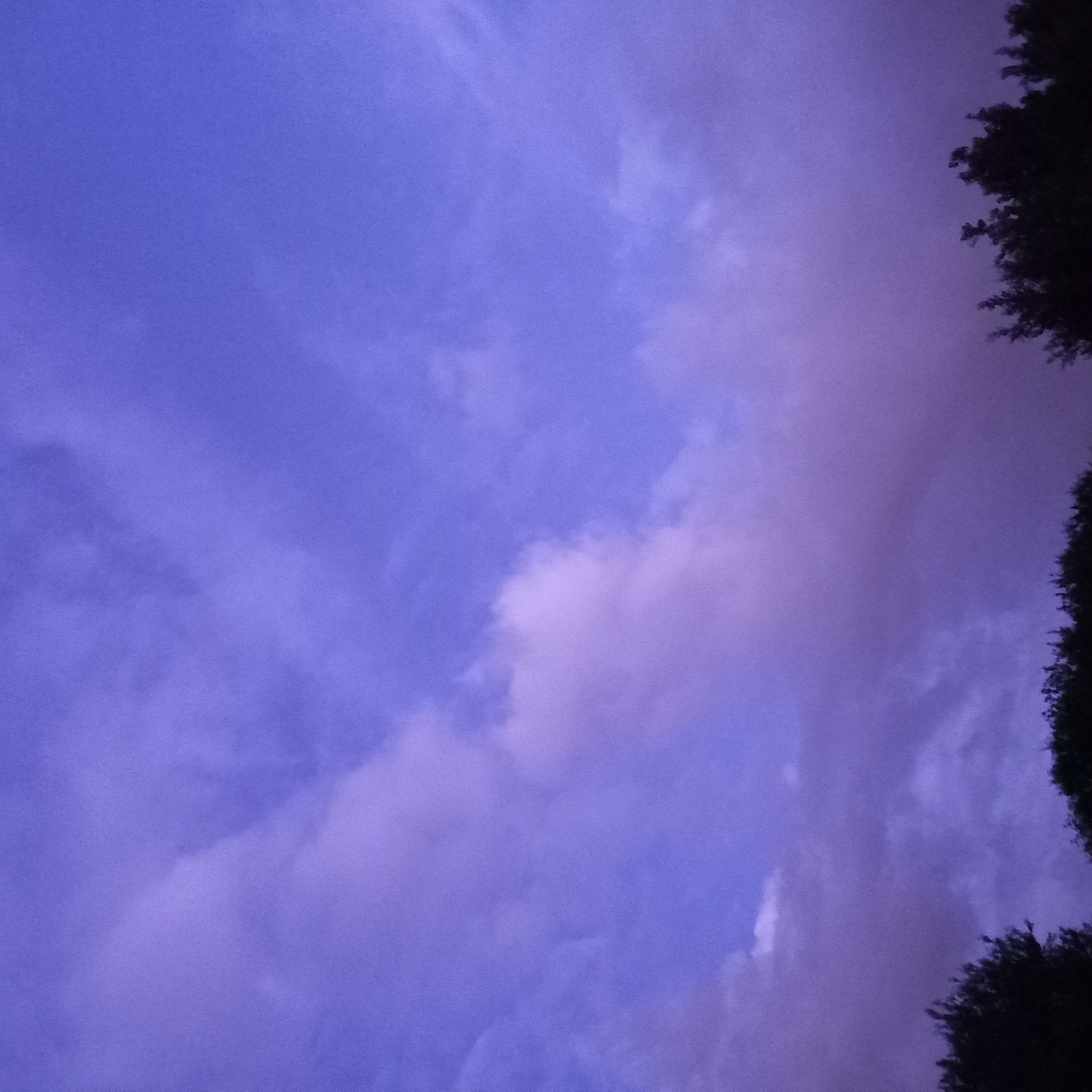 The image shows a low-angle view of the sky at dusk or dawn, with shades of blue and lavender. There are scattered clouds of varying density, some appearing almost white, others tinted with pink. Along the right edge of the frame, the dark silhouettes of tree branches are visible. There is no evidence to suggest that this image was taken in Moscow, Russia. The image doesn't contain any people or interactions. The environment is limited to the sky and some foliage.