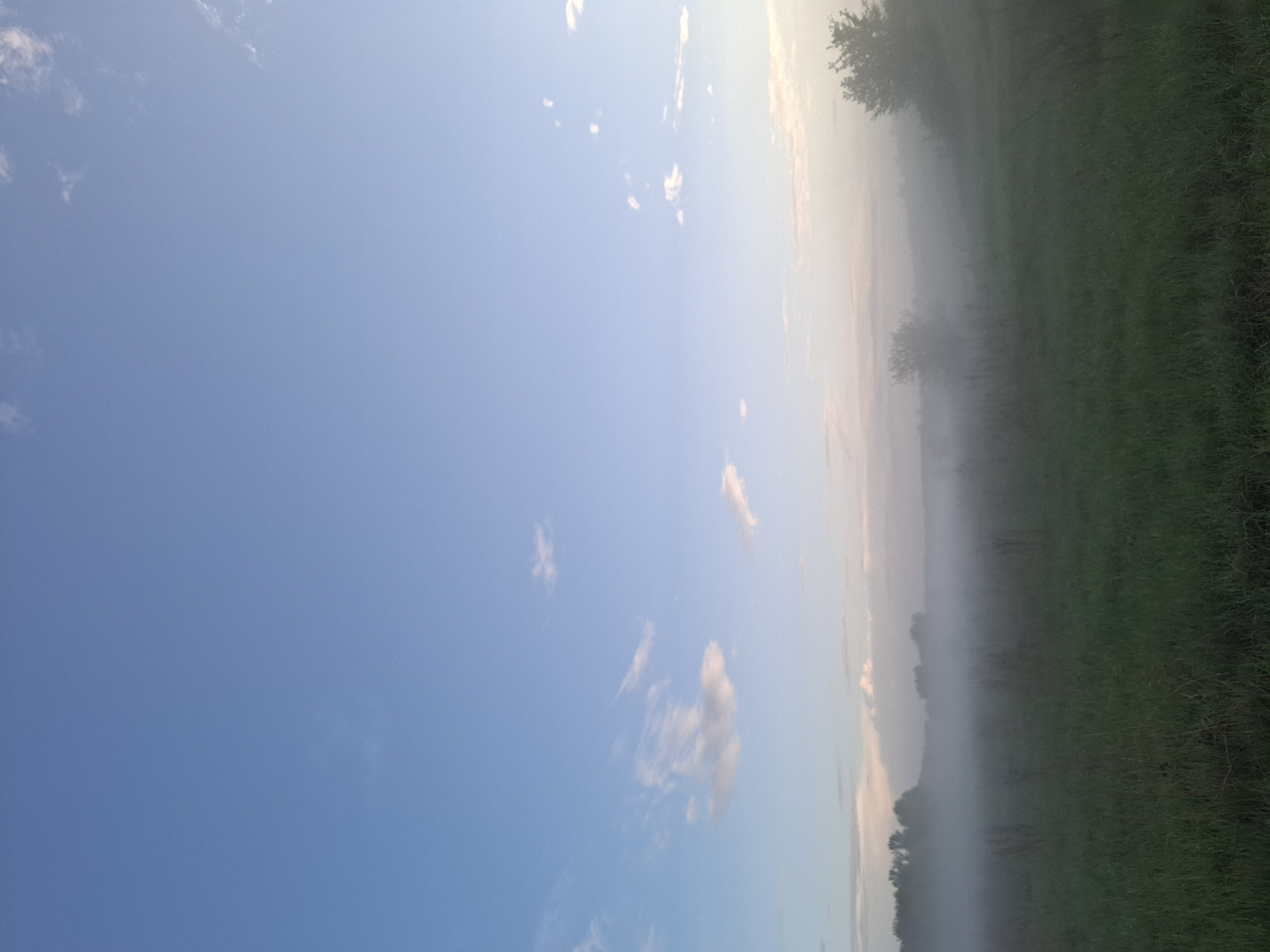 The image shows a landscape with a clear blue sky partially covered with small white clouds. On the right side of the image, there is a field of green grass with some trees and bushes. Fog is present in the lower part of the field, partially obscuring the trees. The location appears to be rural and could plausibly be in or around Khlevnoye, Russia, although there's no specific architectural or geographical information to confirm the city. No people are visible in the image.