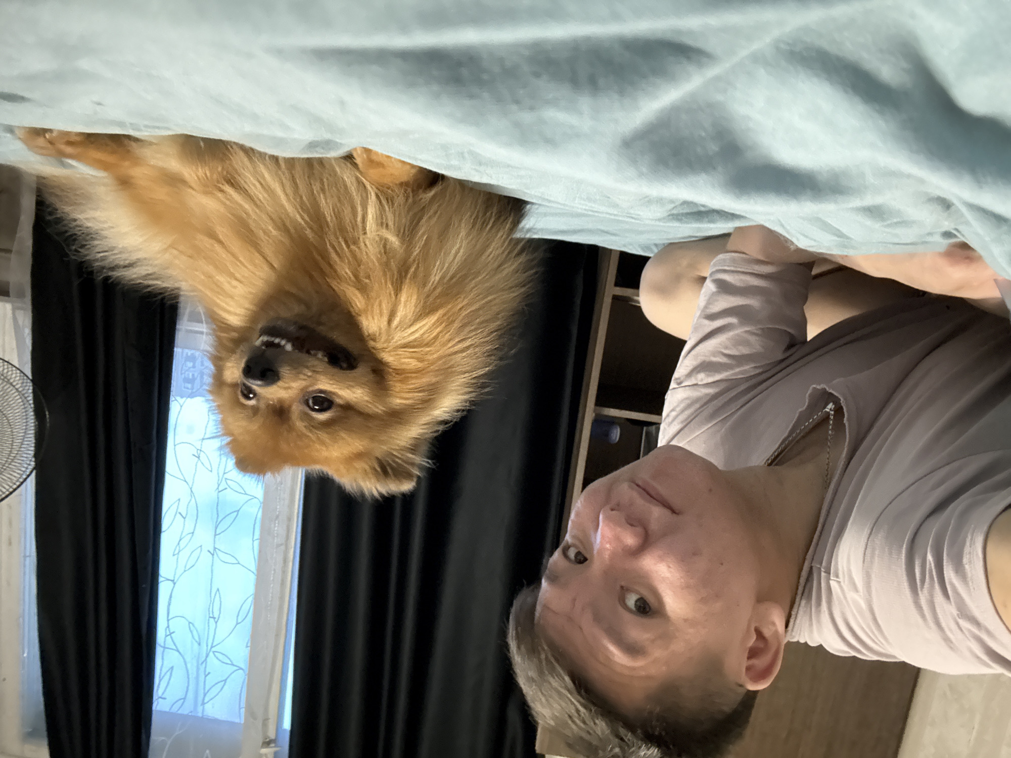 A selfie shot shows a person and a Pomeranian dog. The person is a male with a light complexion, short hair, and wearing a light-colored shirt. He is looking directly at the camera. The dog is a brown Pomeranian, also looking at the camera. The background includes a blue sheet, a window with a patterned sheer curtain and darker drapes, and a fan. A cabinet is visible in the background. There is no verifiable evidence in this image to prove it was taken in Khimki, Russia.