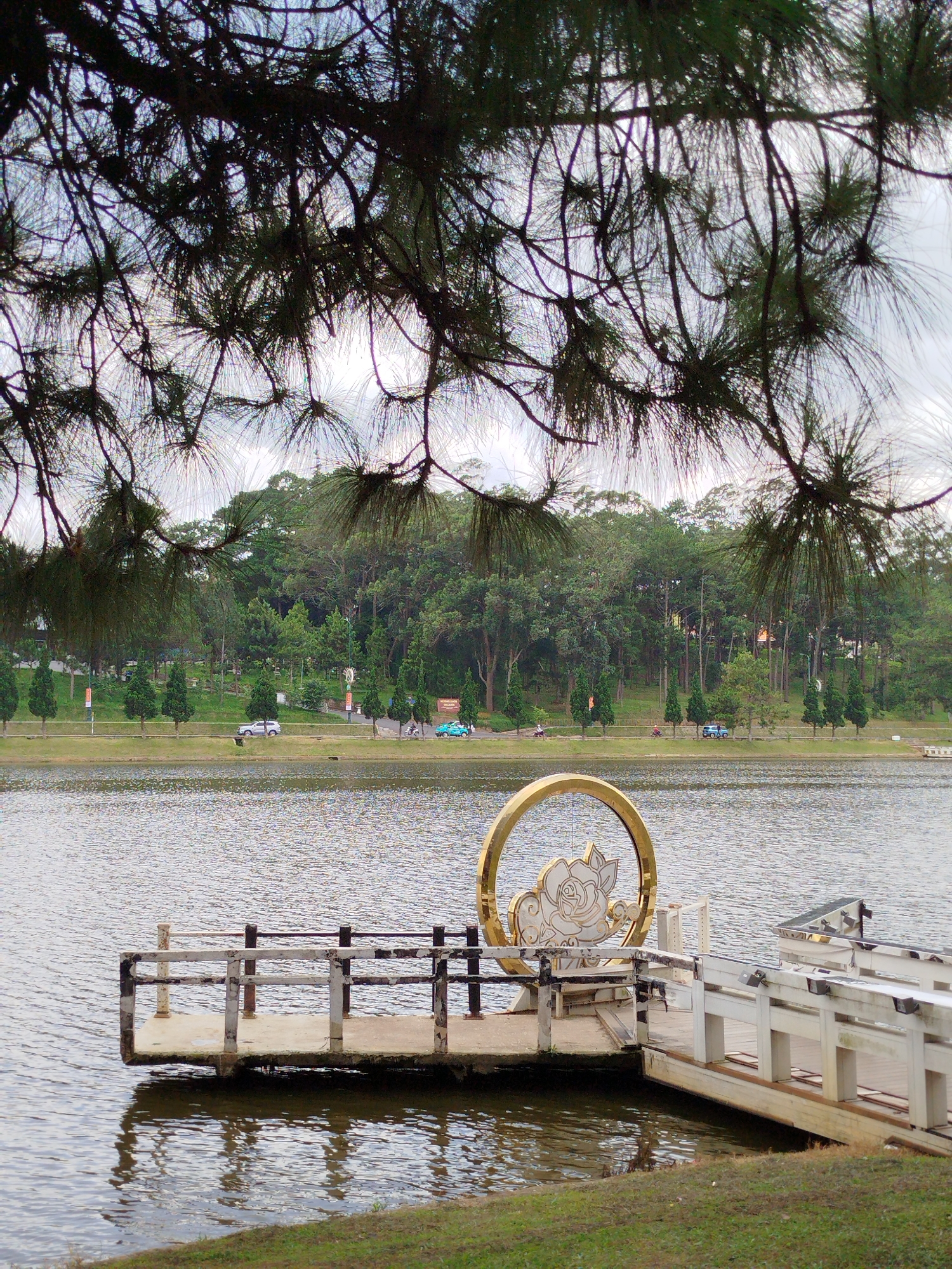 This image captures a serene view of Xuan Huong Lake in Da Lat, Vietnam. In the foreground, a wooden pier extends into the calm, rippling water. A distinctive golden circular sculpture featuring a stylized rose is mounted on the pier, serving as a prominent decorative element. The pier's structure is simple, with wooden planks and a railing, showing signs of wear.
Beyond the pier, the lake's surface reflects the overcast sky and the surrounding landscape. The far bank of the lake is lined with a paved walkway, where two cars and several motorcycles are visible. A dense forest of pine and other evergreen trees covers the gentle slopes of the hills in the background, creating a lush green backdrop. The sky is a muted gray, suggesting cloudy weather. Pine tree branches, with their distinctive needles, hang into the frame from the top, partially obscuring the view and adding a sense of depth. The overall impression is one of natural beauty and tranquility.