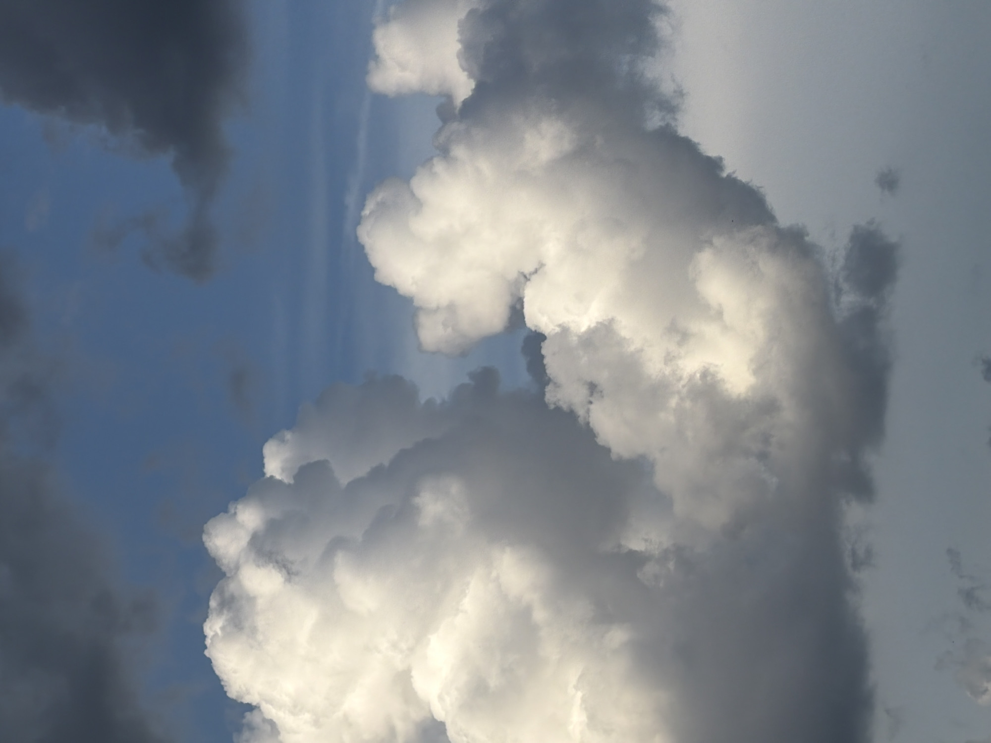 A close-up, vertical shot captures a dramatic sky filled with voluminous clouds against a backdrop of blue. The clouds exhibit a range of tones, from bright white where sunlight illuminates them, to deep grays and blues in shadowed areas. The texture of the clouds is highly detailed, showcasing their fluffy, billowy nature and sharp edges. The image is focused on the atmospheric elements, with no discernible elements of the city of Chaikovsky, Russia, visible.