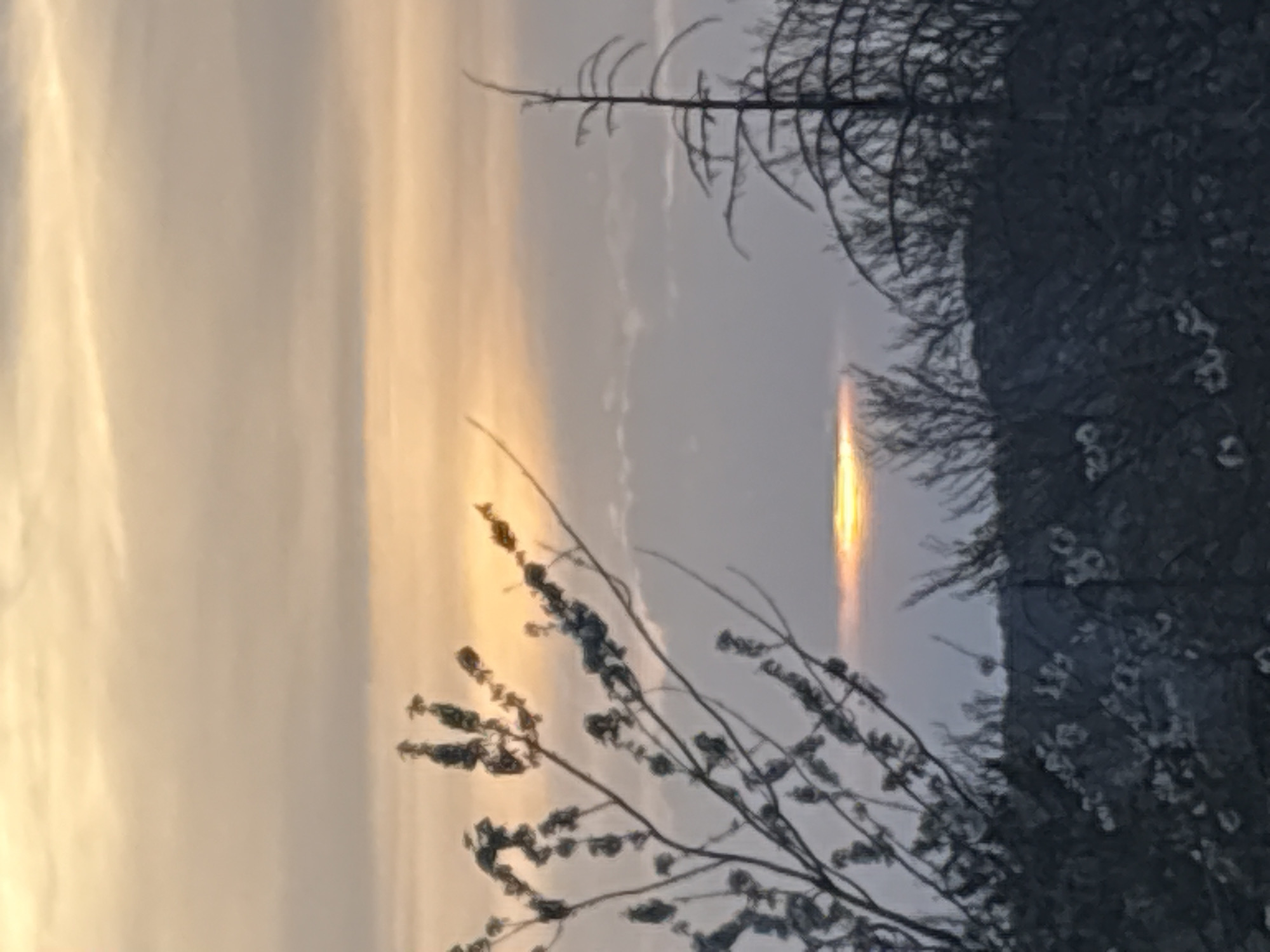 The image shows a vertical light pillar, likely a sun pillar, visible in the sky. The foreground includes silhouetted trees and branches. The sky is pale with some cloud formations. The location is Schifflange, Luxembourg. The specifics are lacking to establish any actions or interactions as they relate to people.