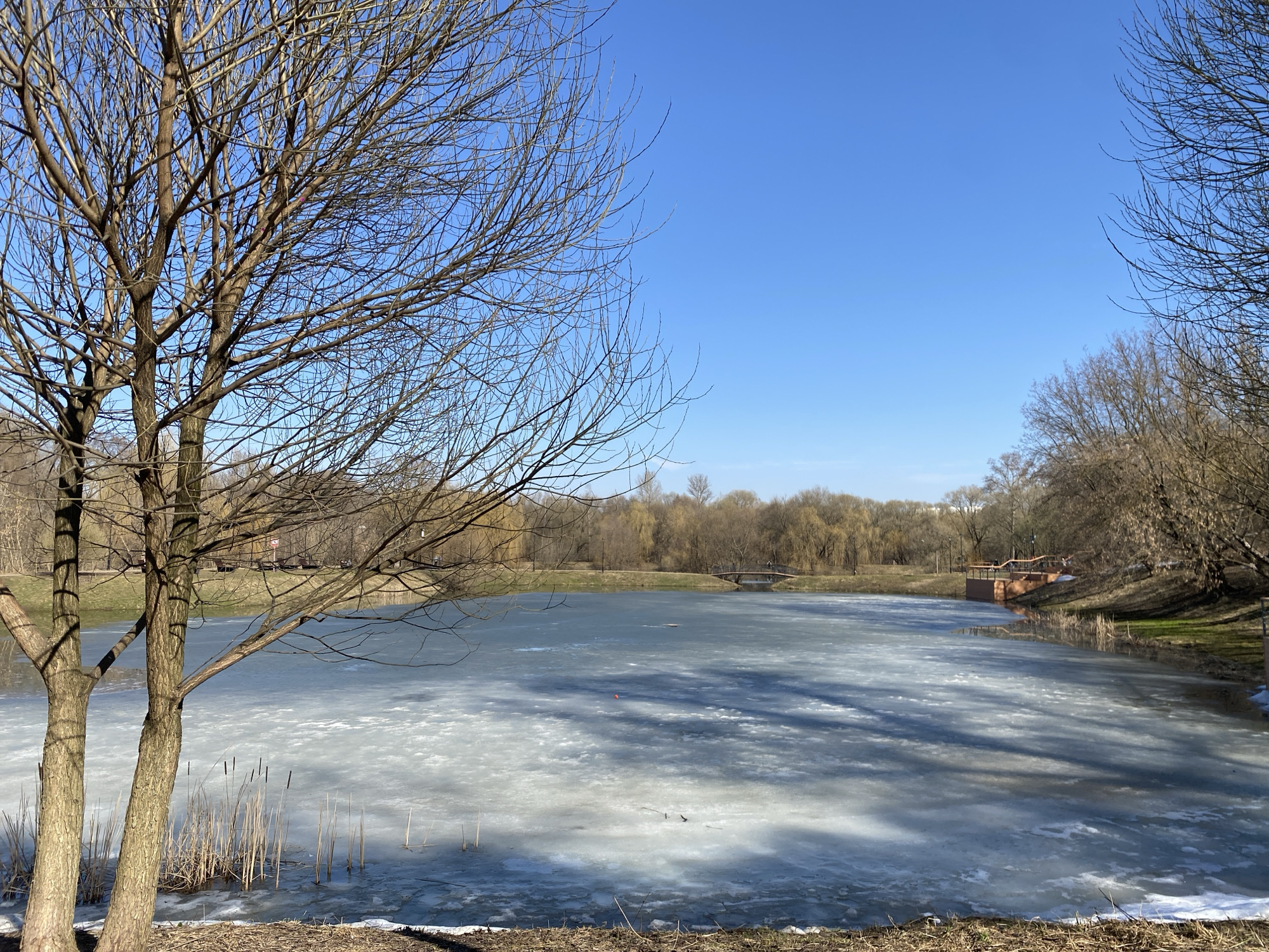The image depicts a partially frozen pond in a park, likely in early spring. The pond is covered with a thin layer of ice, with some open water visible. The sky is clear and blue. Bare trees surround the pond, and a small bridge crosses the pond in the background. A small embankment with a platform is visible on the right side of the pond. The ground is covered with dead grass and leaves.
Given the style of the park and architecture, the location is most likely in Moscow, Russia, but there is no definitive element to confirm that. There are no people visible in the image. The focus is on the natural environment and the transition from winter to spring.