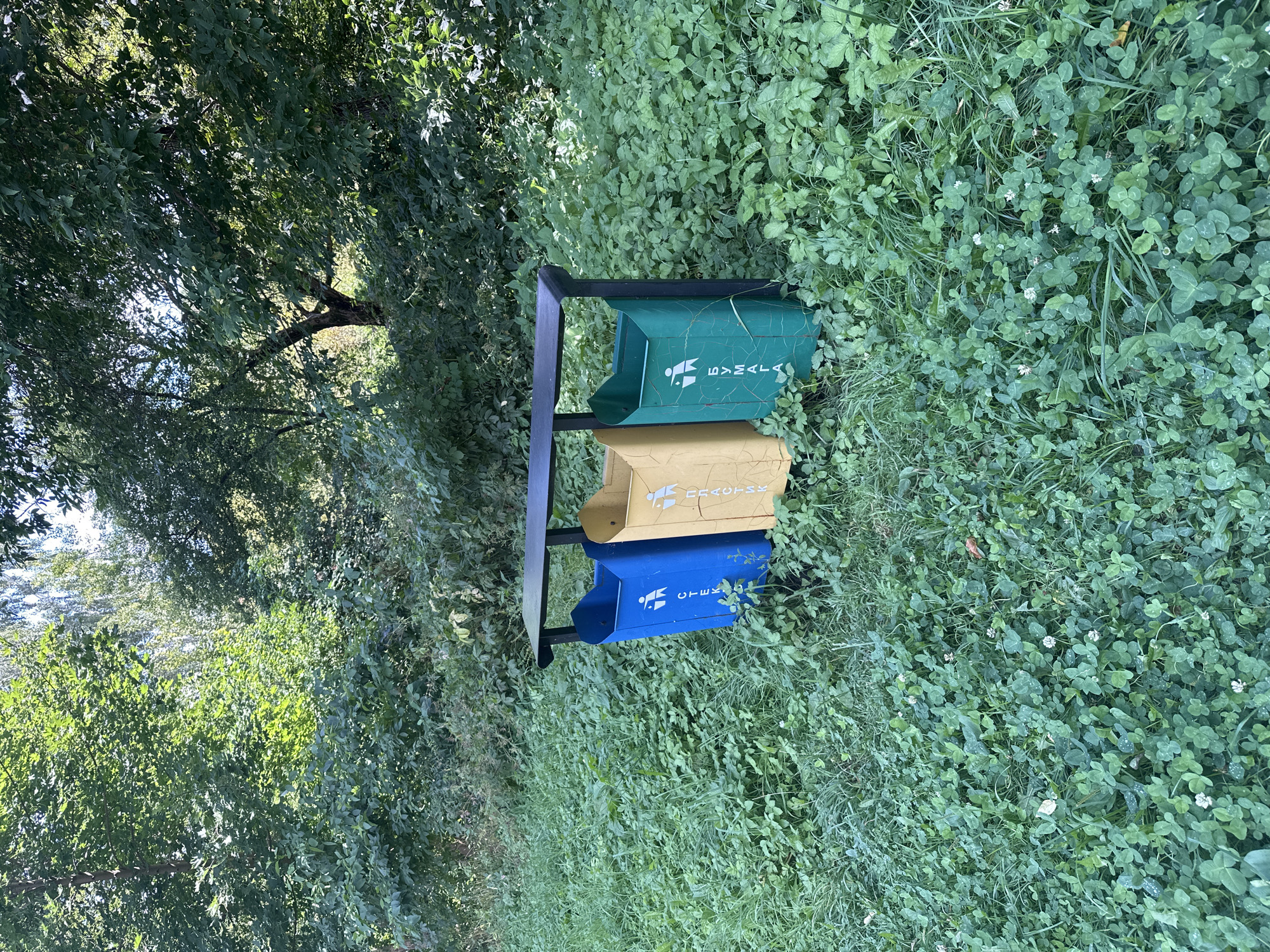 The image shows three outdoor recycling bins arranged in a row, placed on a grassy area with clover and other low-lying vegetation. The bins are colored blue, yellow, and green from left to right, and each has a symbol of a person throwing waste into a bin. The blue bin has the Cyrillic text "СТЕКЛО" (glass) and a recycling symbol. The yellow bin has the Cyrillic text "ПЛАСТИК" (plastic) and a recycling symbol. The green bin has the Cyrillic text "БУМАГА" (paper) and a recycling symbol. A black metal frame supports the bins. Behind the bins is dense foliage and trees, suggesting a park or a wooded area within the city of Minsk, Belarus. The lighting indicates it is daytime, with sunlight filtering through the leaves. There are no people visible in the image.