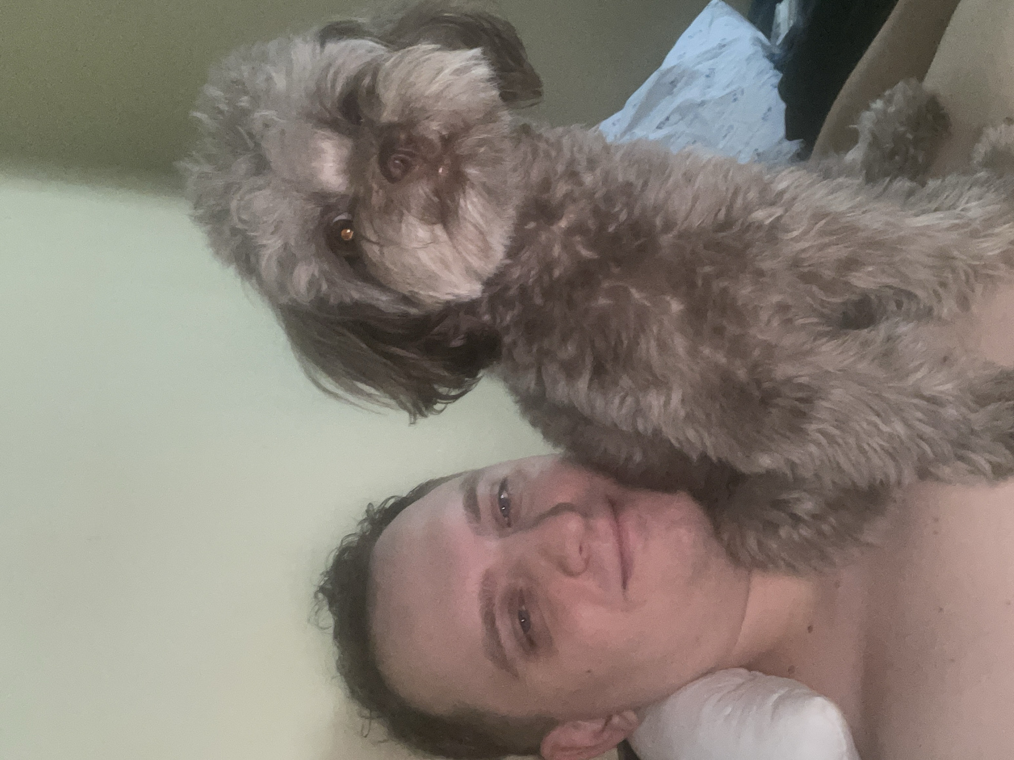 A medium shot shows a man and a dog on a bed. The man is on the left, his head and upper body visible. He has short, dark, curly hair and a light complexion. His eyes are open, and he is smiling slightly. A white pillow is behind his head. The dog, a small, dark-colored poodle-type breed with curly fur, is positioned in front of and slightly to the right of the man. The dog is looking towards the camera with its head tilted. The background consists of a light-colored wall and a dark, possibly wooden surface, with a hint of a blue and white patterned sheet. The lighting appears to be natural, coming from the side, casting soft shadows. There is no visible indication of the city of Khimki, Russia within the image.