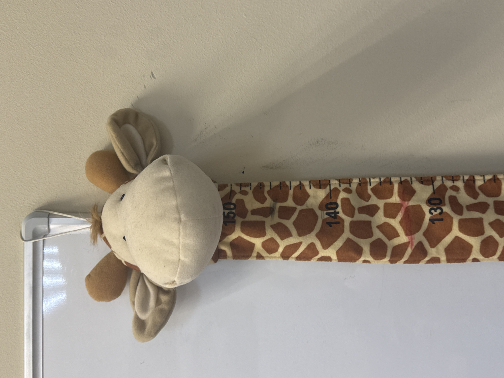 A close-up shot depicts the head of a stuffed giraffe attached to a giraffe-patterned height chart mounted on a white surface. The head of the giraffe is predominantly cream-colored with brown ears and small tufts of hair. The height chart features brown giraffe spots and is marked with numbers in centimeters, with the numbers 130, 140, and 150 visible. The white surface appears to be a whiteboard, as indicated by the silver-colored frame along its edge. The background consists of an off-white wall, and no people are visible in the image. The location within the city of Perm, Russia, cannot be determined from the provided image.