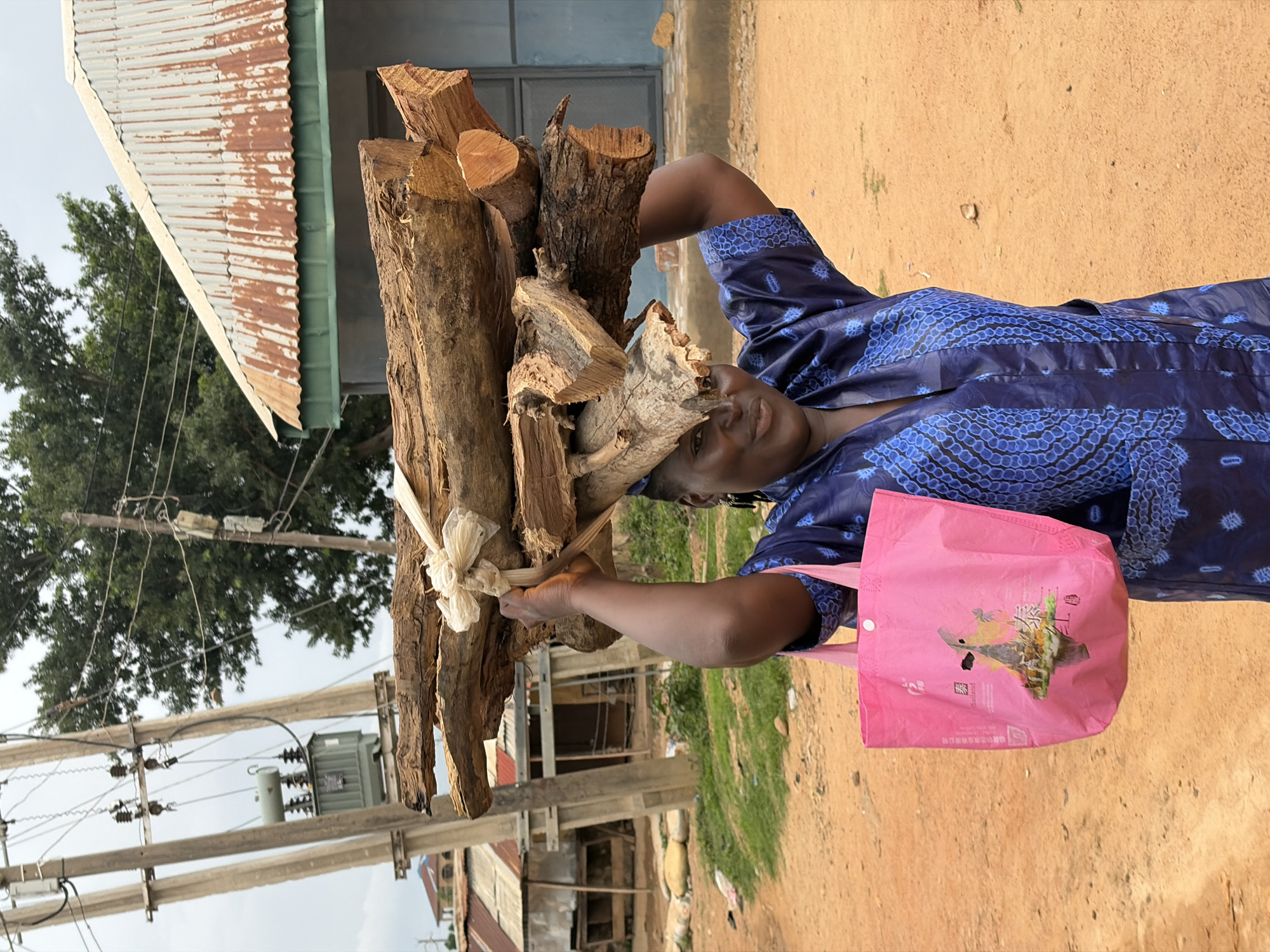 A woman in a blue patterned shirt balances firewood on her head with the aid of a cushioned head wrap. She is carrying a pink bag over her shoulder. The setting appears to be a residential area in Jos, Nigeria, with buildings, trees, and utility poles visible in the background. The ground is bare and reddish-brown in color.