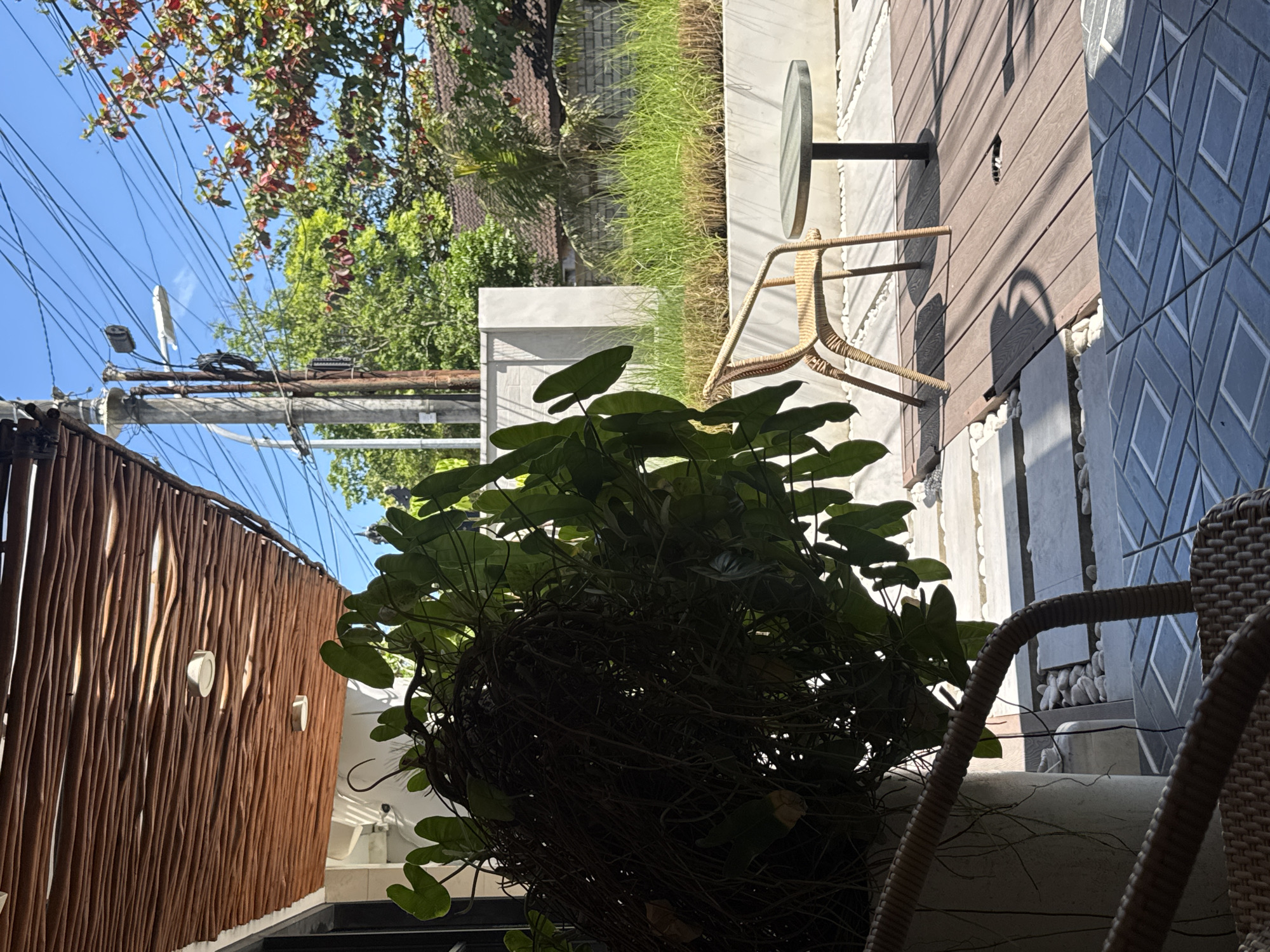 The image, taken outdoors, shows a mix of natural and constructed elements. In the foreground, there's a large, leafy plant obscuring some of the view. Wicker furniture, including a chair and possibly other pieces, is partially visible. The backdrop features a fence made of thin, vertical wooden elements and a wall constructed from patterned tiles.
A small, round table with a glass top is placed next to the wall. Beyond the immediate structures, there's greenery, including grass and trees. Electrical wires and a utility pole are visible in the upper-left portion of the frame, juxtaposed against a blue sky. The photo suggests an outdoor cafe or patio space. The location is likely Kuta, Indonesia, based on the likely local architecture and vegetation. There are no people visible in the image.