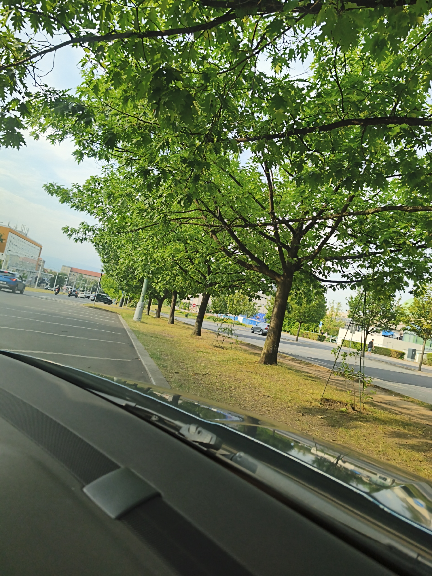 The image depicts a street scene in Most, Czechia, likely during the daytime. Lush green trees line the right side of a paved road, casting shadows on the grassy embankment. In the foreground, the interior of a car is visible, showing the dashboard and windshield, suggesting the photo was taken from inside a moving vehicle. The road has marked parking spaces and traffic, including cars and a motorcycle. Buildings, possibly commercial or residential, are visible in the background on the left side of the road. The sky is bright, indicating clear or partly cloudy weather. The overall impression is that of a normal day in a moderately urban environment with significant greenery. There is no visible text in the image.