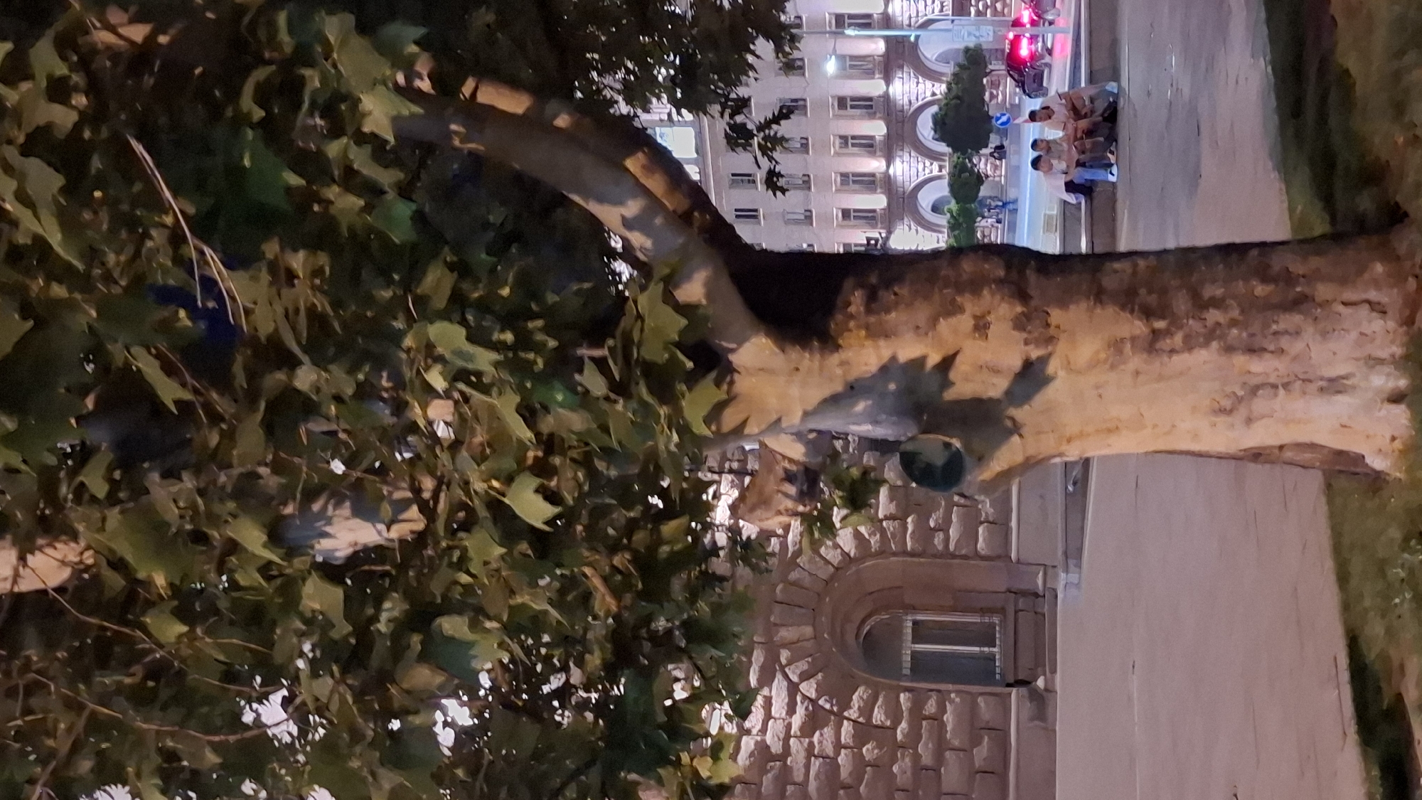 The image captures a street scene in Sofia, Bulgaria, likely in the evening, given the artificial lighting. In the foreground, a large tree trunk with rough bark dominates the frame. Behind it, a building with stone masonry and arched windows is visible on the left. On the right side of the image, a brightly lit building with multiple windows and an arcade on the ground floor stands in the background. Several people are seated on a low wall in front of this building. A few cars, one with illuminated red taillights, are on the street. The overall ambiance is urban and appears to be a public space like a square or a boulevard.