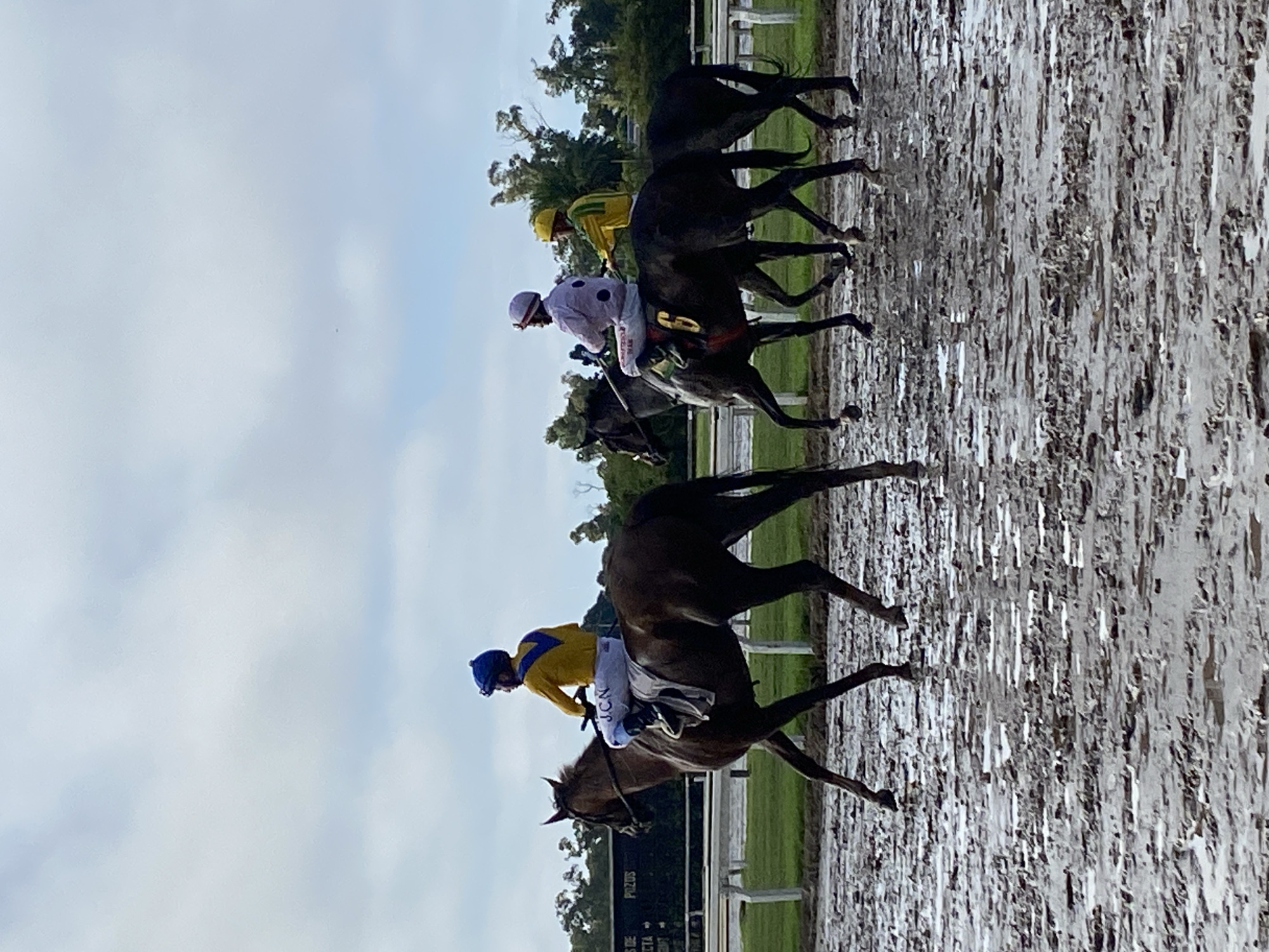 The image depicts a horse race underway. Several racehorses with jockeys are visible, galloping on a muddy track. The riders are wearing racing silks of various colors. Trees are in the background. In the foreground, there is an advertisement.
The location is the Hipódromo Argentino de Palermo in Buenos Aires, Argentina.