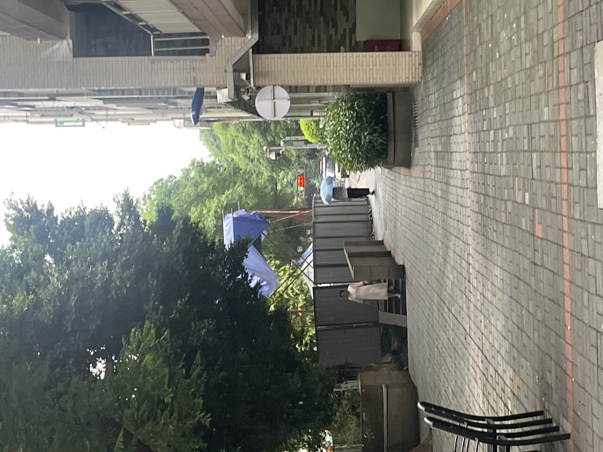 In a Yuzhong District, China city environment, a paved walkway with a red stripe runs alongside a building and a verdant area. A woman in a light-colored dress descends a short flight of stairs on the left. Further down the walkway, a person holding a blue umbrella walks away from the camera. To the right of the walkway, a brick building with balconies and windows stands tall, with a green bush planted in front of it. Overhanging trees and some blue tarps cover an area further back, suggesting some ongoing construction or event. The sky is overcast.