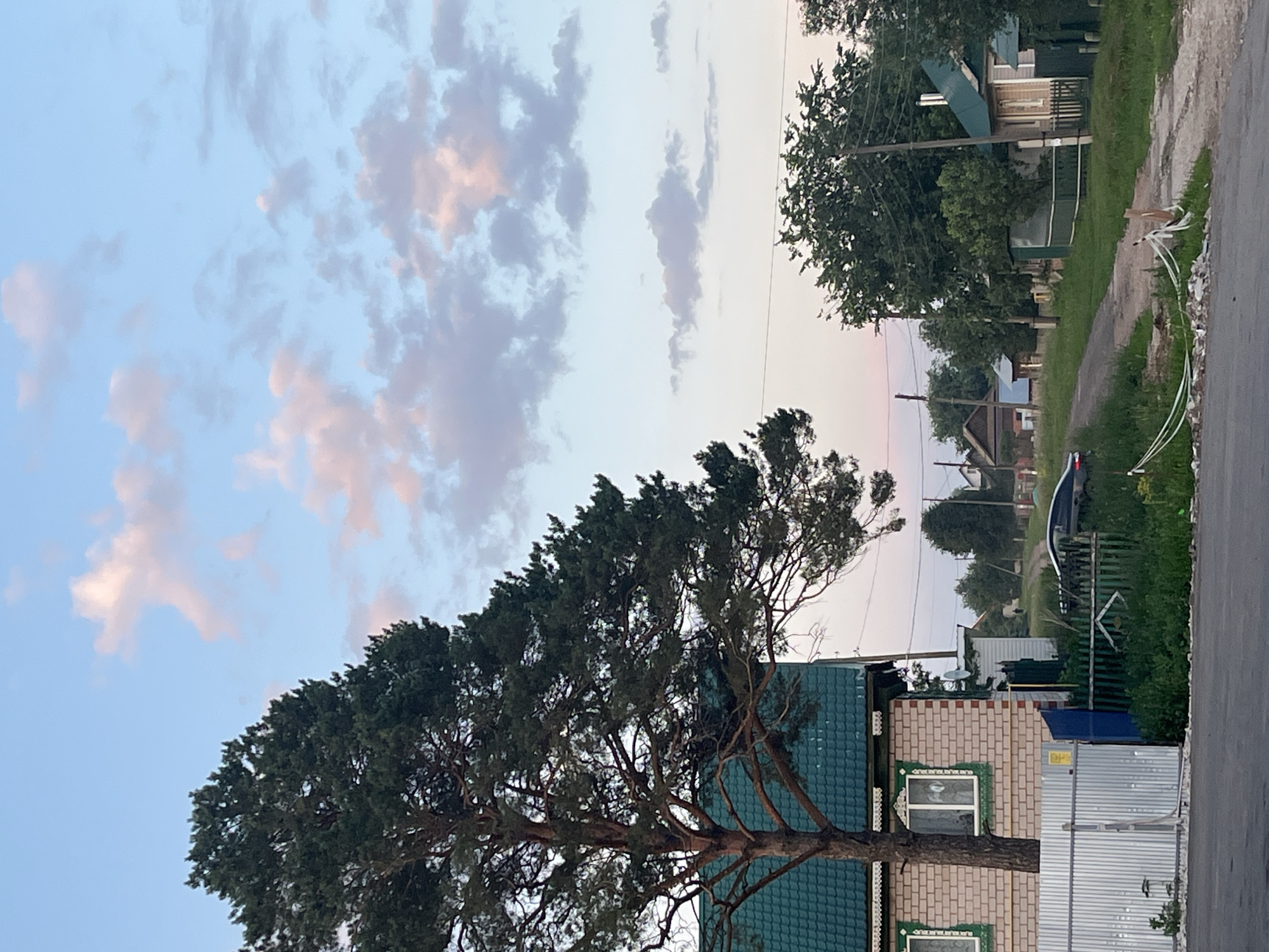 A street scene in Ludorvay, Russia, features a large pine tree in the foreground to the left, its branches extending over a brick house with a green metal roof. The house has white window frames with decorative green trim. A corrugated metal fence runs along the front of the property, with a blue gate visible. Beyond the house, a dirt road winds through a village with several other houses, some with green roofs, and lush green trees. A dark-colored car is parked on the side of the road. The sky above is a pale blue with scattered pink and gray clouds, suggesting either sunrise or sunset. Power lines and poles are visible throughout the scene, indicating a residential area.